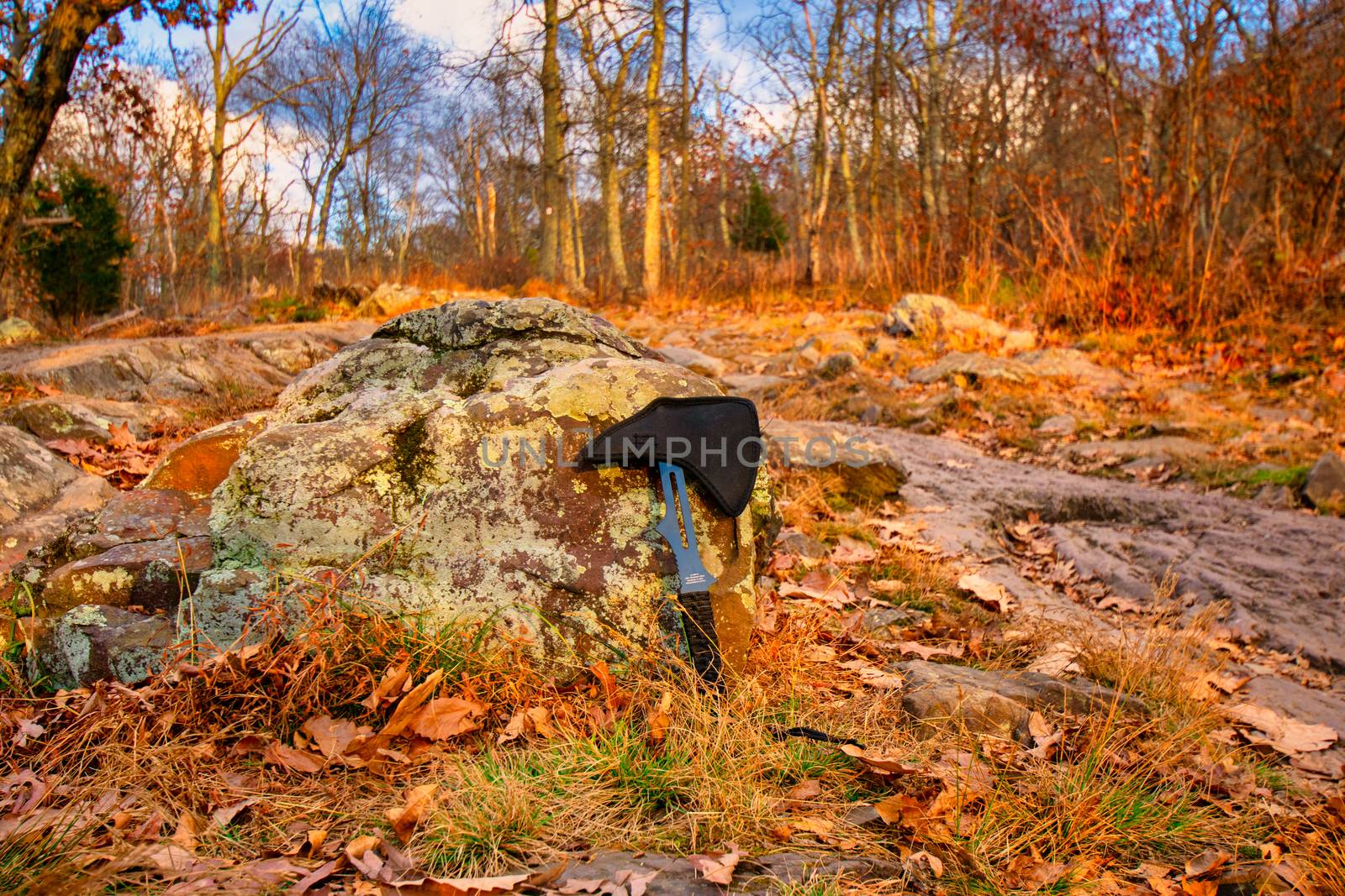 A Throwing Axe Leaning on a Rock in an Autumn Field by bju12290