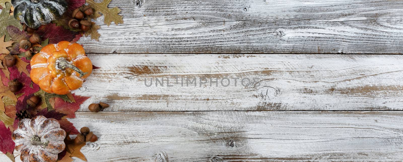 Autumn colorful leaves, acorns and gourds on white rustic wooden background for the Thanksgiving holiday season