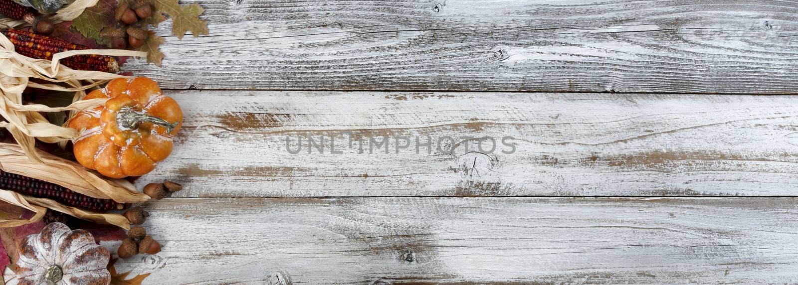 Autumn colorful leaves, acorns, corn and gourds on white rustic wooden background for the Thanksgiving holiday season