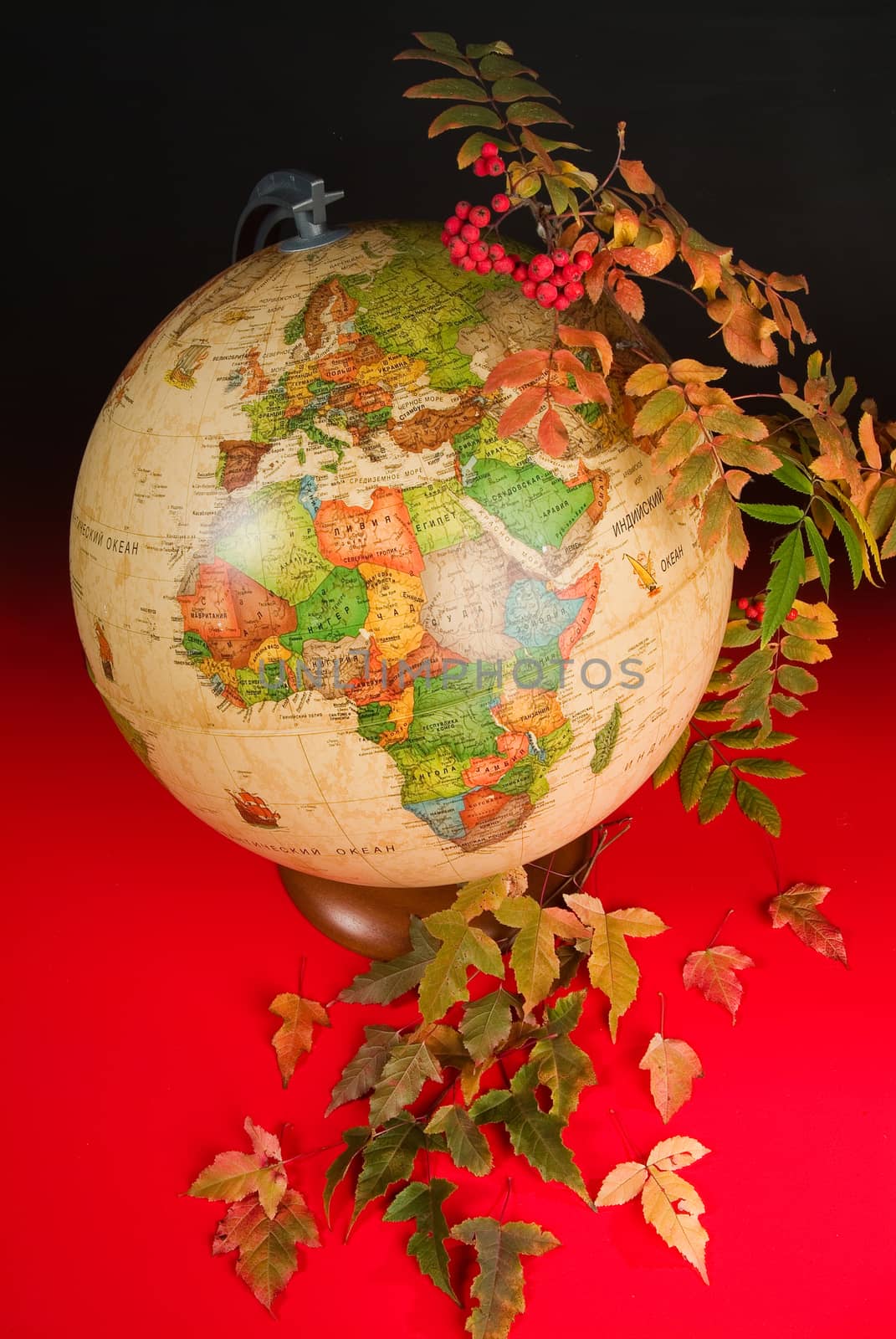 Terrestrial globe and autumn leaves on a studio background
