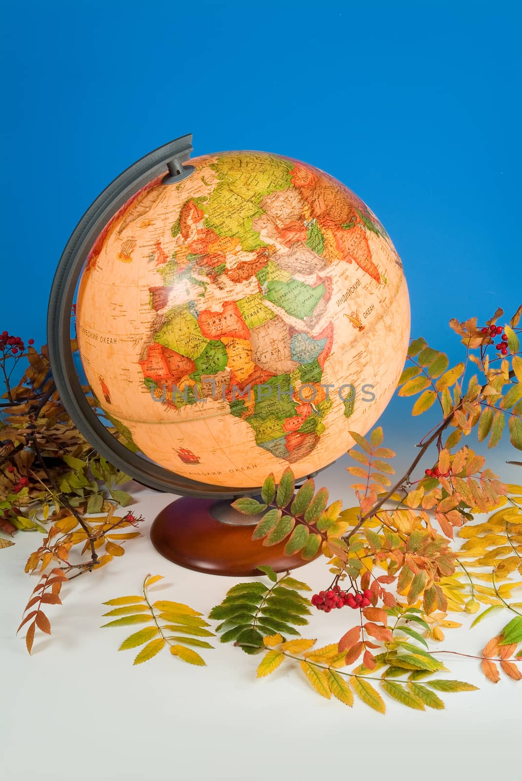 Terrestrial Globe by Fotoskat