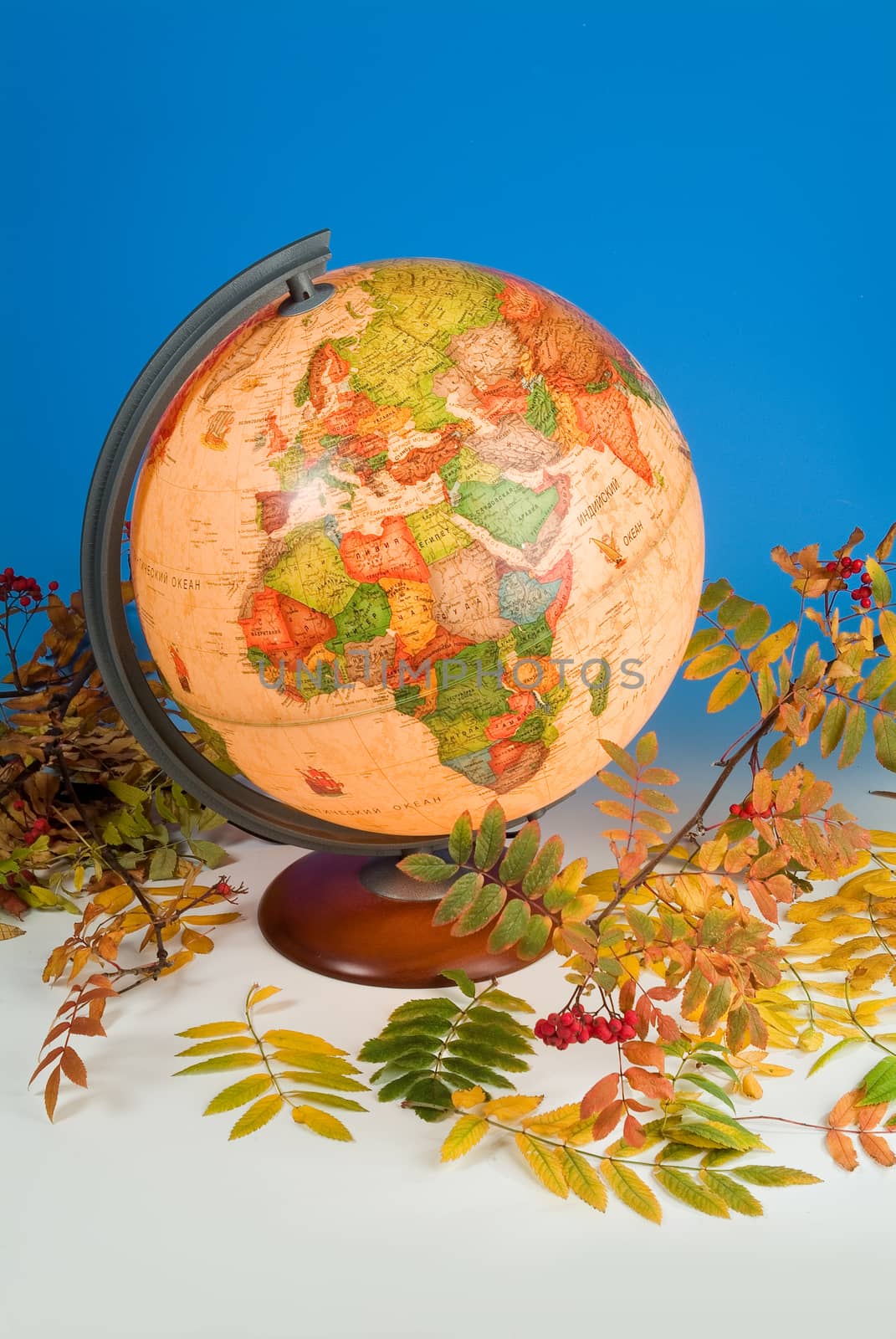 Terrestrial globe and autumn leaves on a studio background