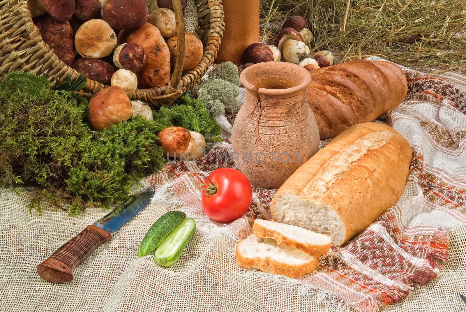 Different kinds of bread on a studio background