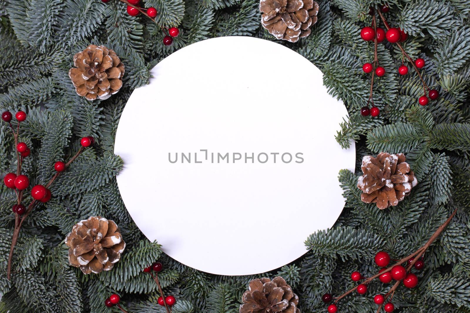 Natural fir Christmas tree pine cones red holly berries, round border frame isolated on white , copy space for text