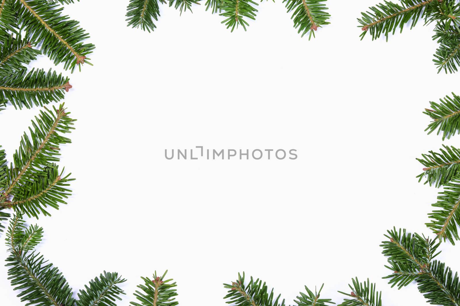 Natural fir Christmas tree border frame isolated on white , copy space for text