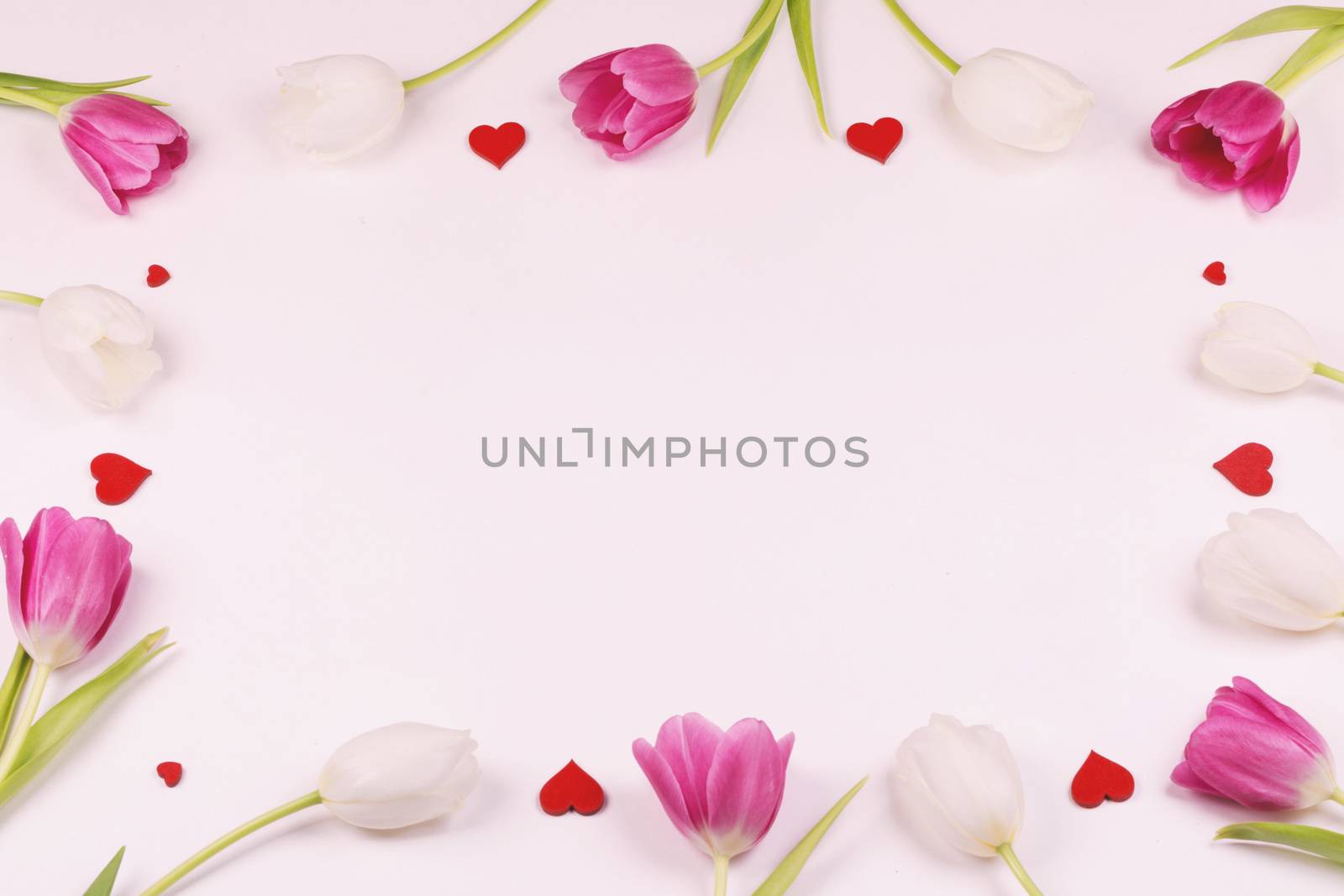 Frame made of colourful tulips and red hearts Valentines day background