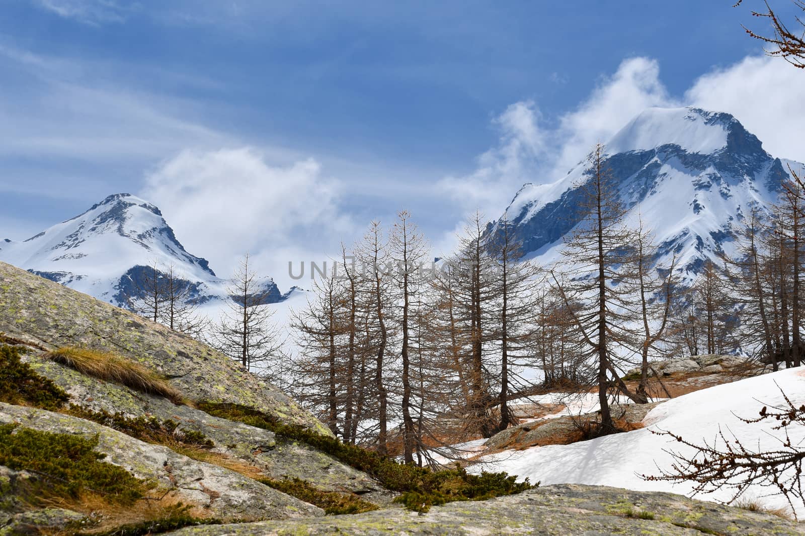 Overview of the Gran Paradiso massif, seen from the Valsavaranche