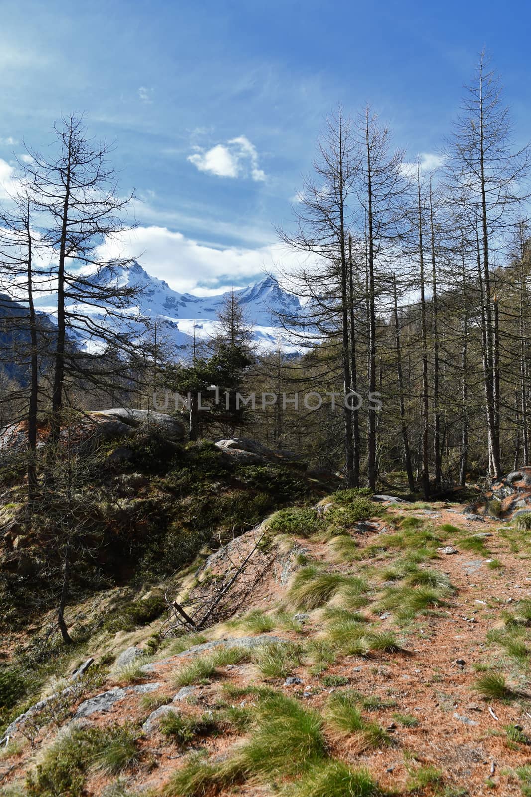 Overview of the Gran Paradiso massif, seen from the Valsavaranche