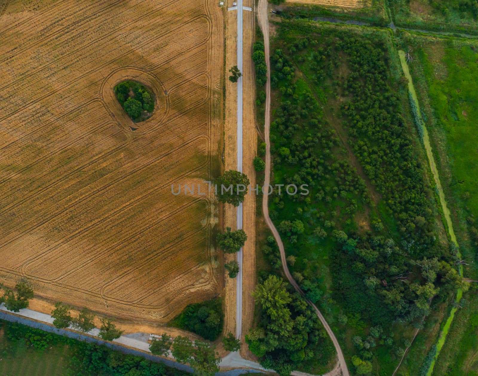 Aerial top down look to streets and paths between forest and fields by Wierzchu