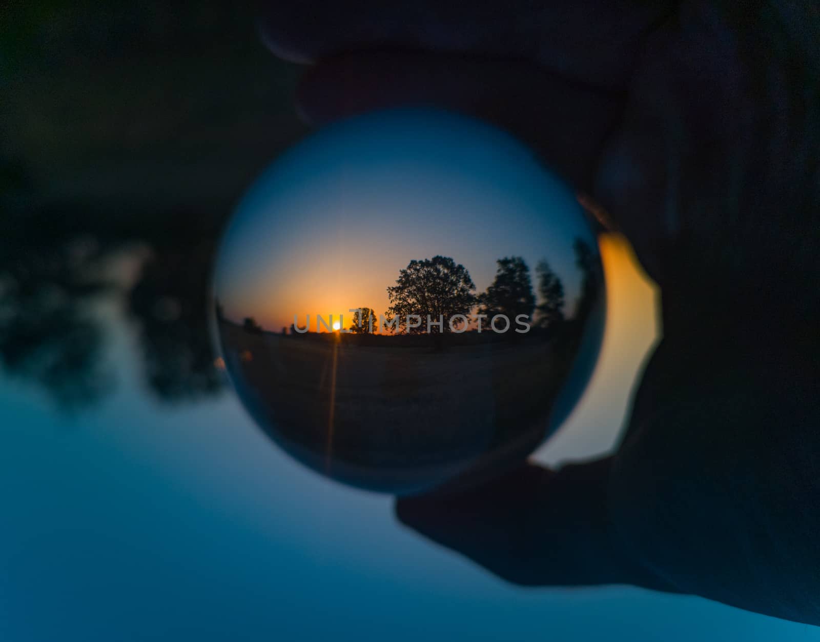 Morning rising sun catched in crystal glassy lensball with trees silhouettes by Wierzchu