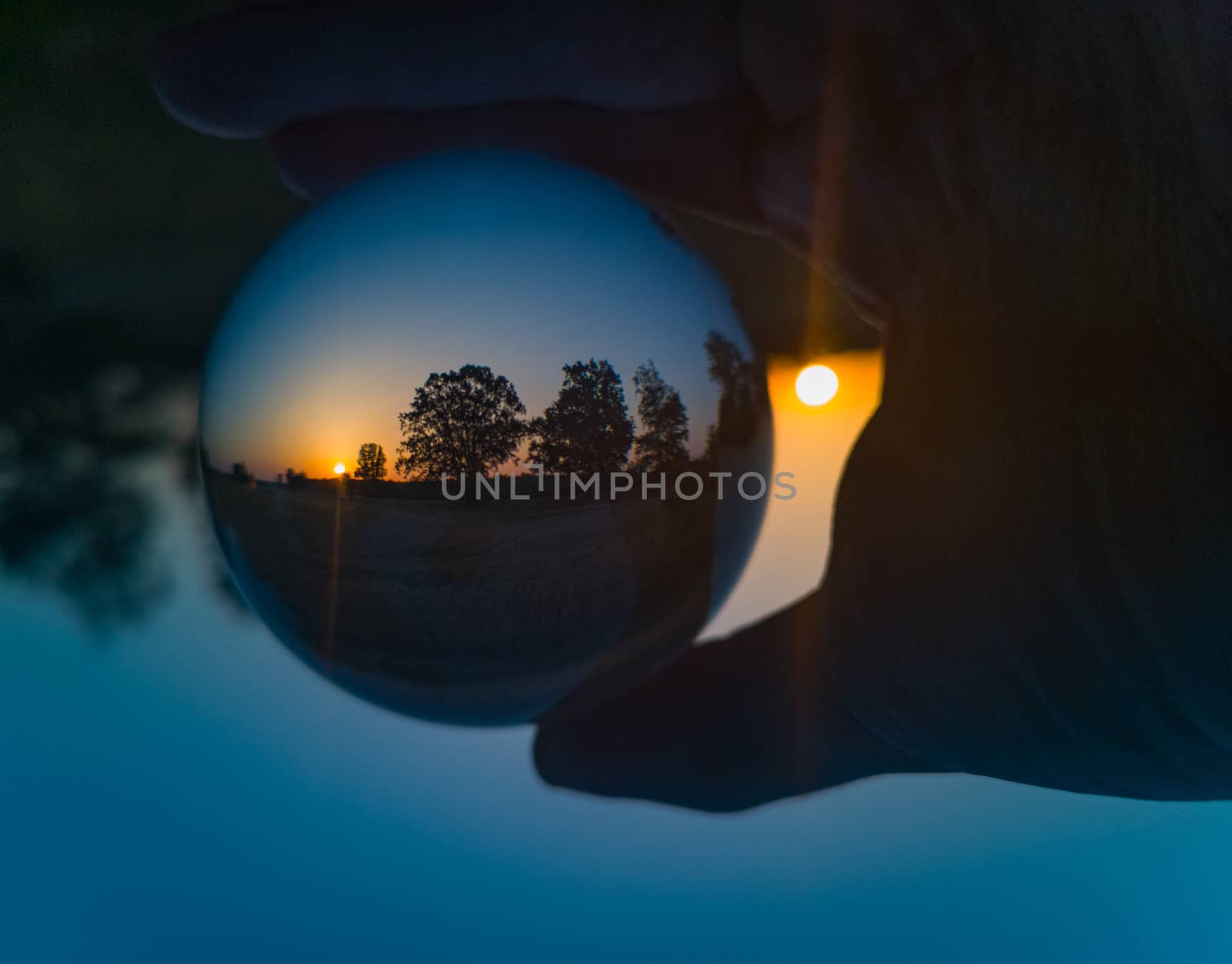 Morning rising sun catched in crystal glassy lensball with trees silhouettes