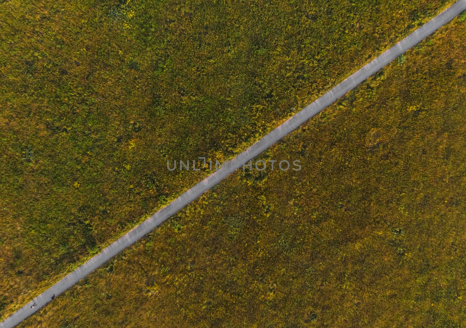 Aerial Top down look to long path between fields at sunny morning by Wierzchu