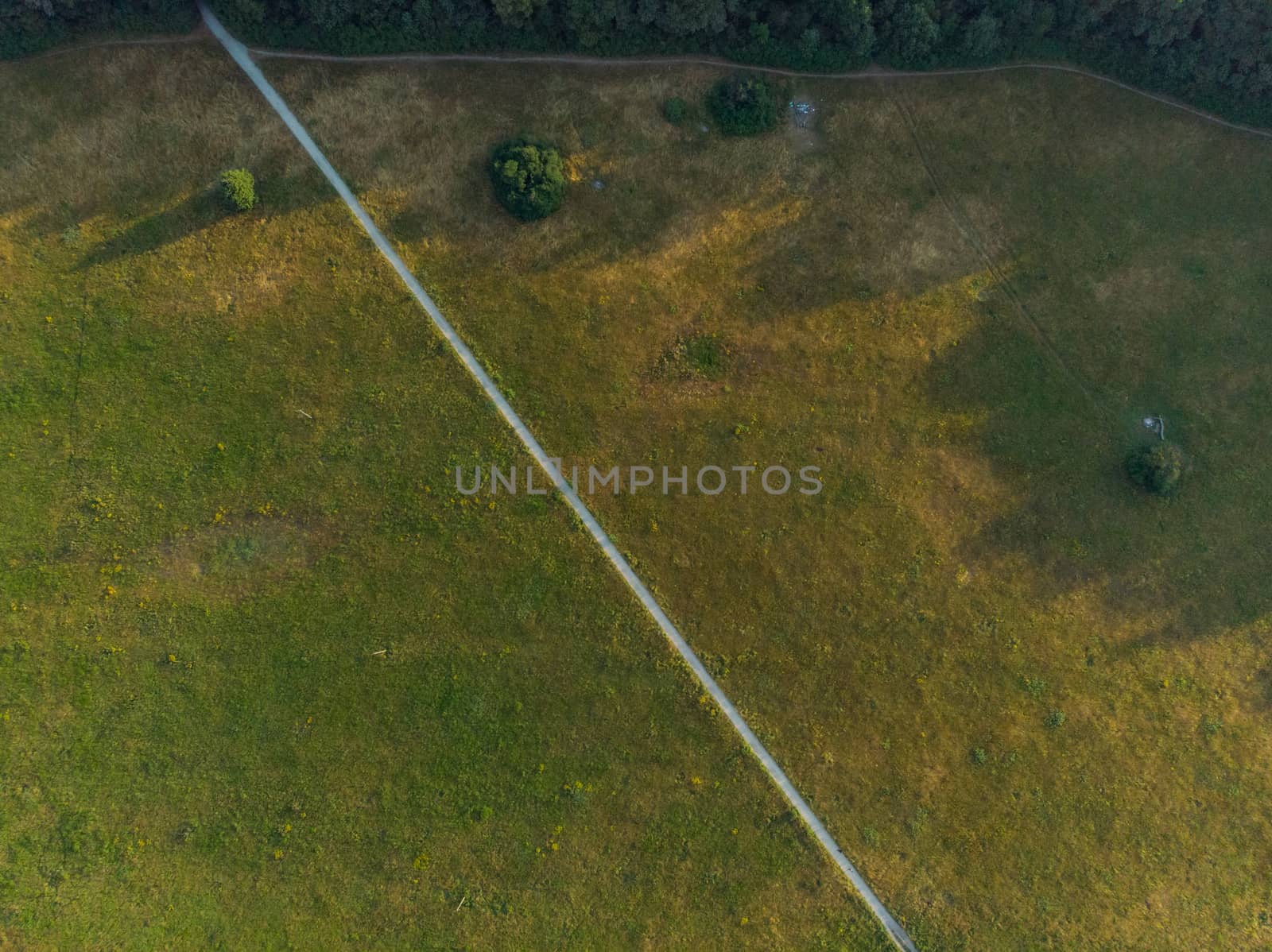 Aerial Top down look to long path between fields at sunny morning by Wierzchu