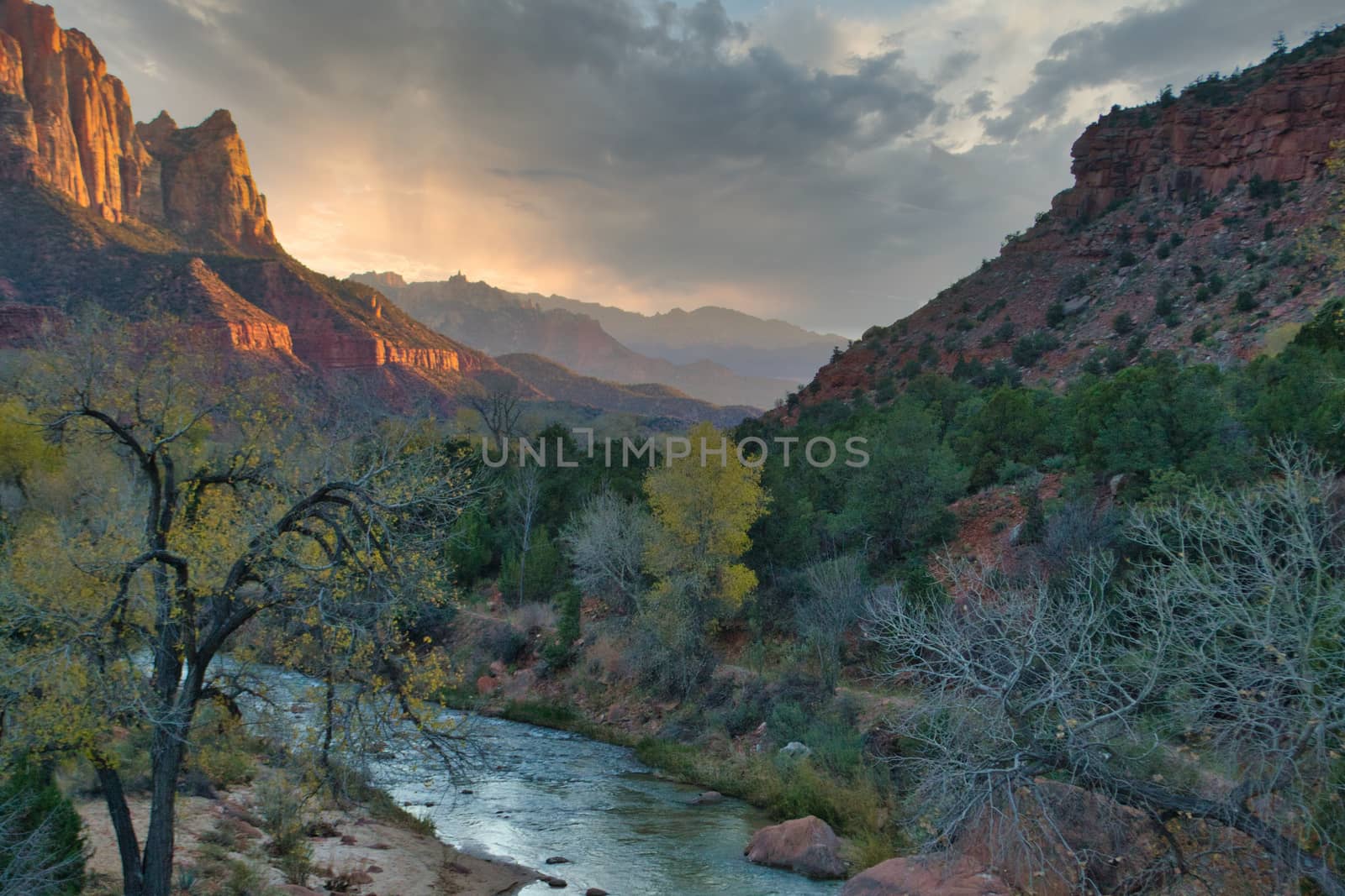 Zion national park in Utah, United States, at Watchman viewpoint. Travel and Tourism.