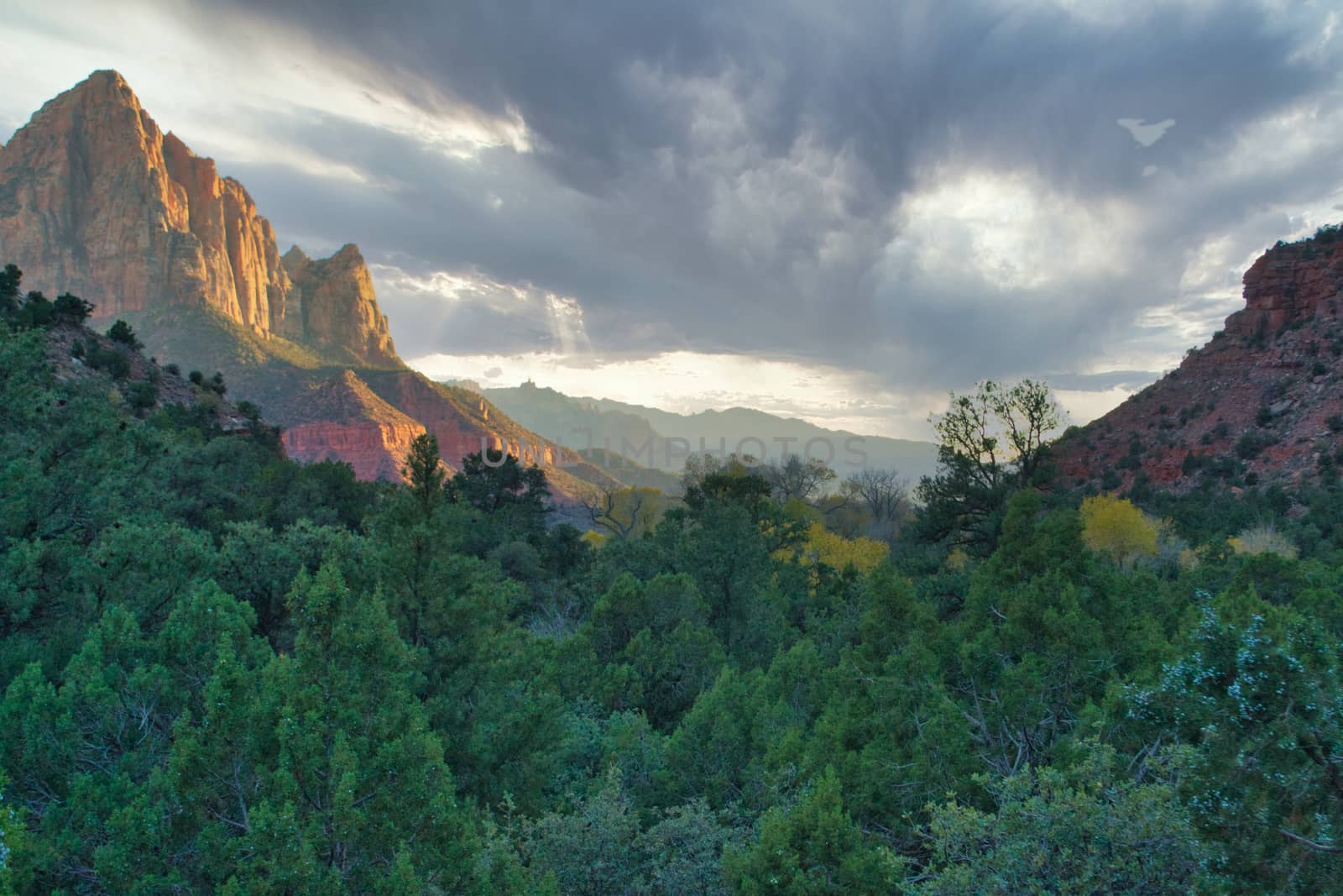 Zion national park in Utah, United States, at Watchman viewpoint. Travel and Tourism.