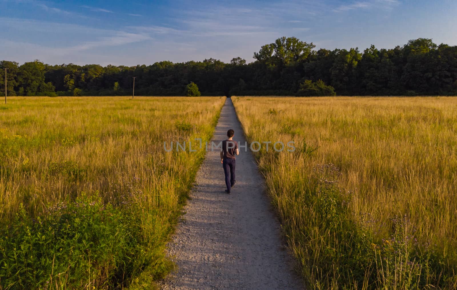 Man walking by long path to forest between yellow fields at sunny morning by Wierzchu