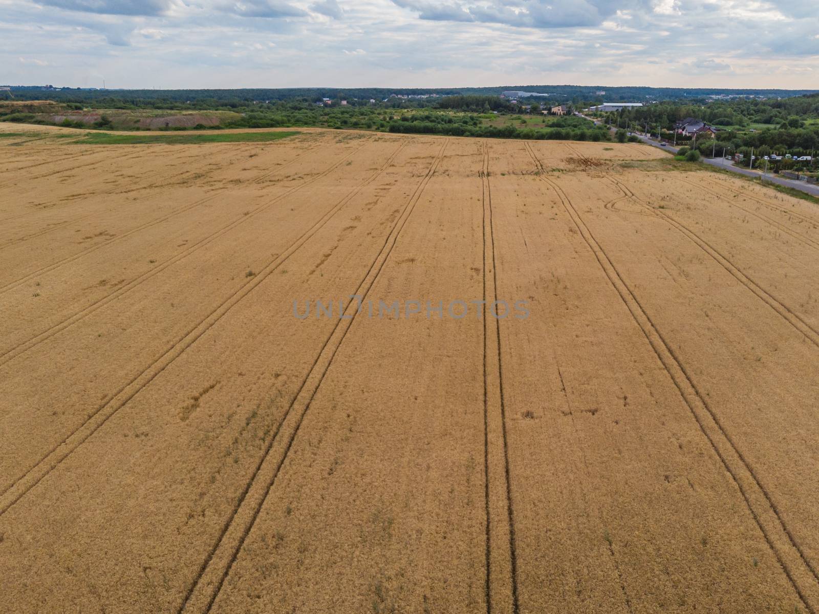 Aerial look to fields of wheat by Wierzchu