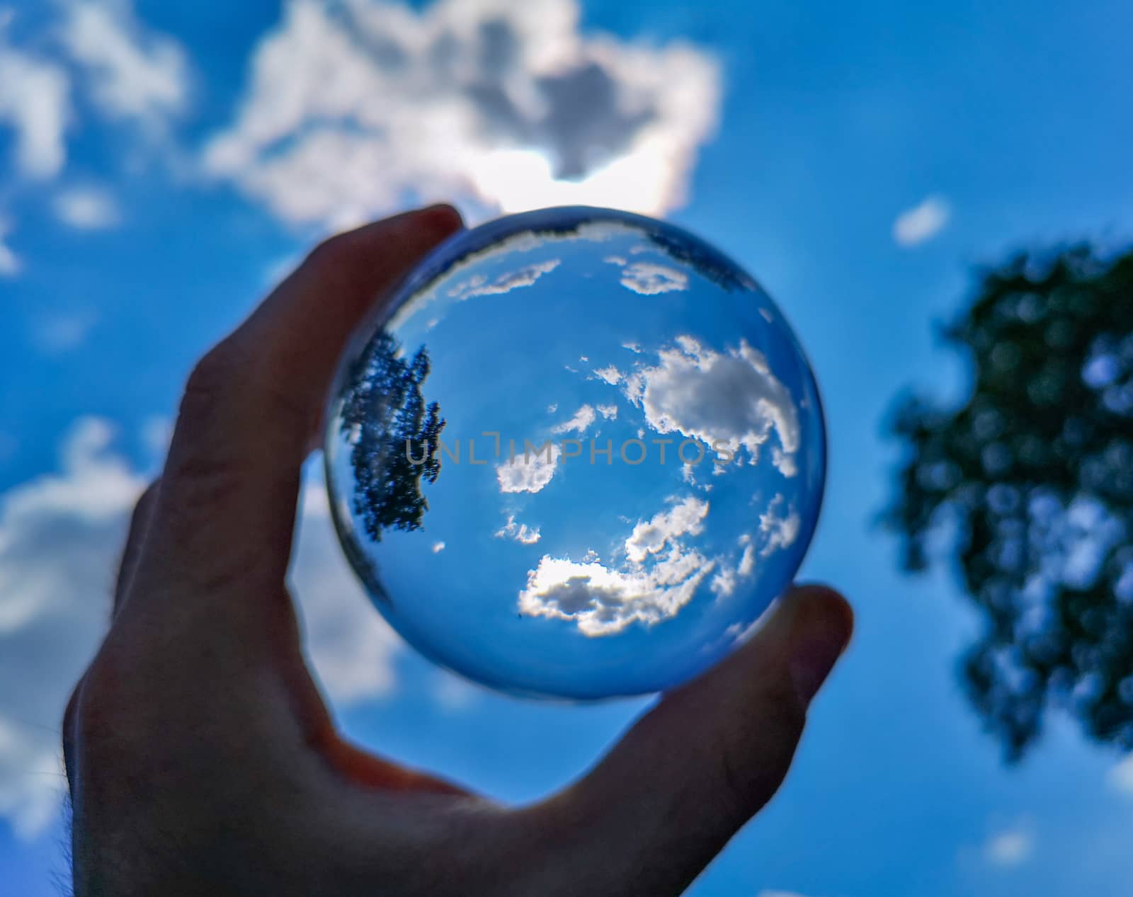 Upward view to cloudy sky and tree crown by the crystal glassy lensball by Wierzchu