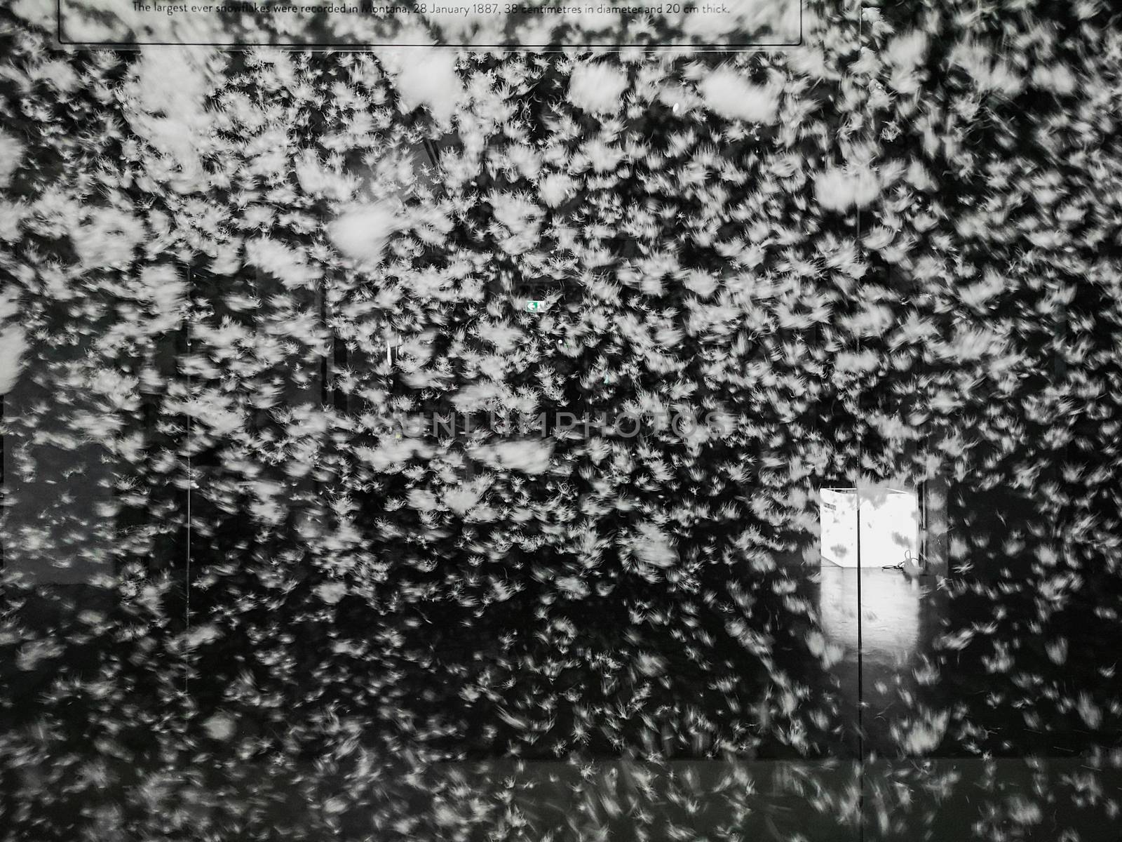 Glass box full of feathers with lighting box behind