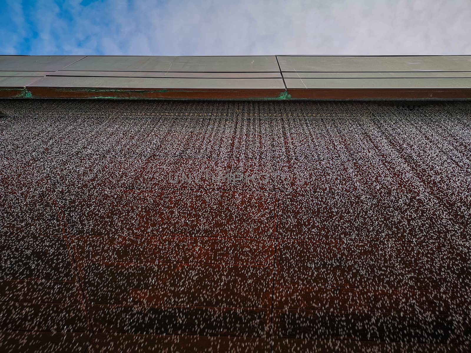 Wall of water drops falling down