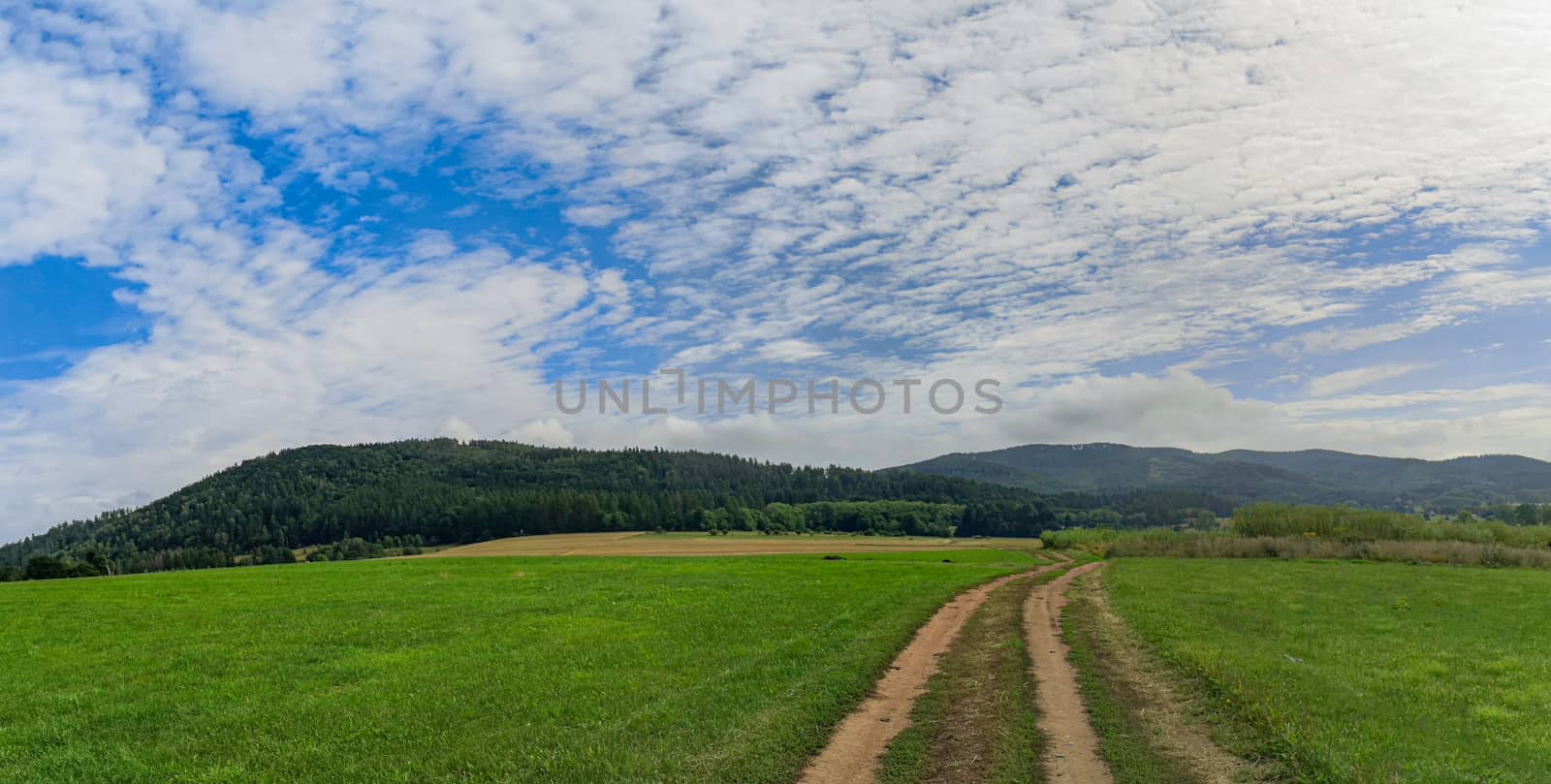 Panoramic view of mountains with Long double pathway between green and yellow fields by Wierzchu