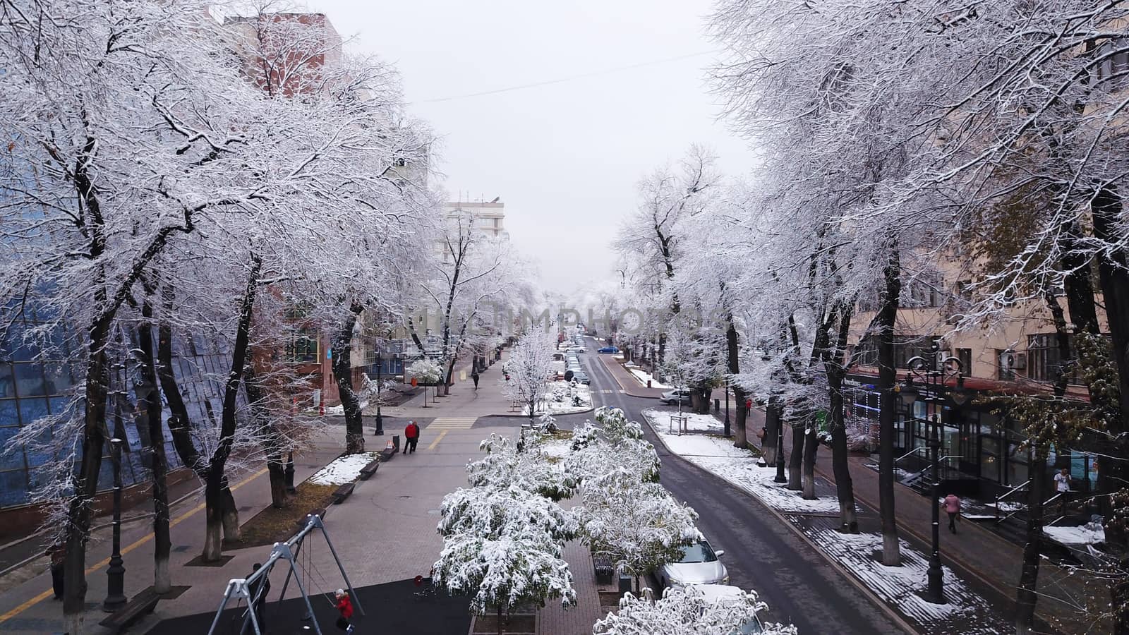 Trees covered with snow, urban environment. Street for walking, people go about their business, cars pass on the road, children ride on a swing. Snow-white trees, Christmas mood. Almaty, Kazakhstan.
