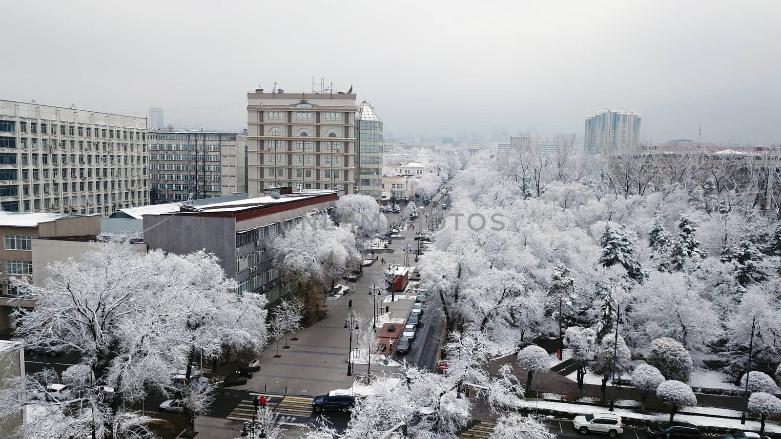 Trees covered with snow, urban environment. Street for walking, people go about their business, cars pass on the road, children ride on a swing. Snow-white trees, Christmas mood. Almaty, Kazakhstan.