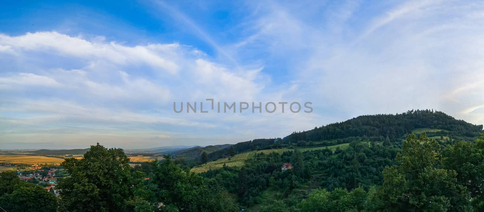 Panoramic view of fields and mountains full of bushes and trees