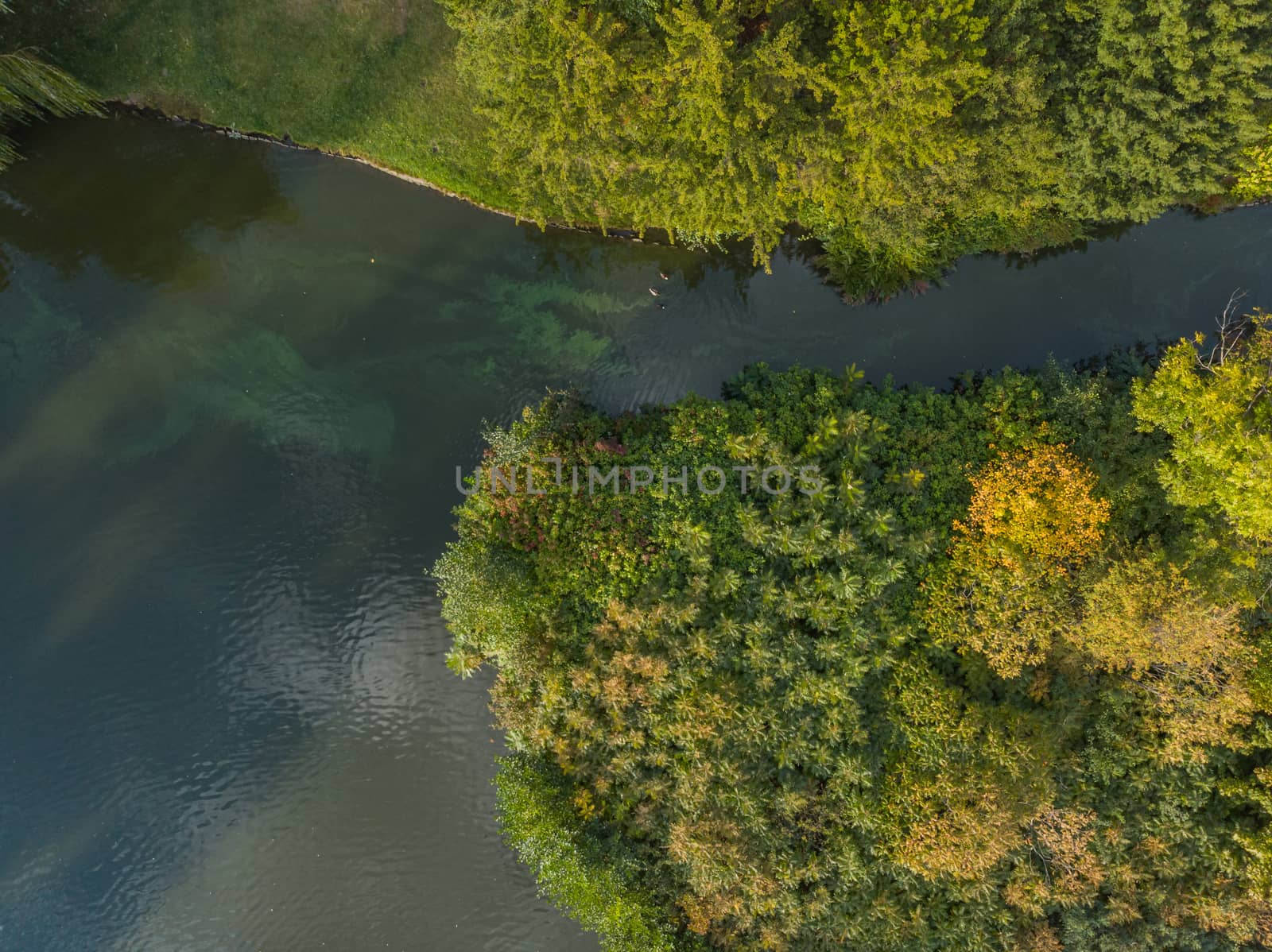 Aerial top down view to river and lake in Wroclaw south park by Wierzchu