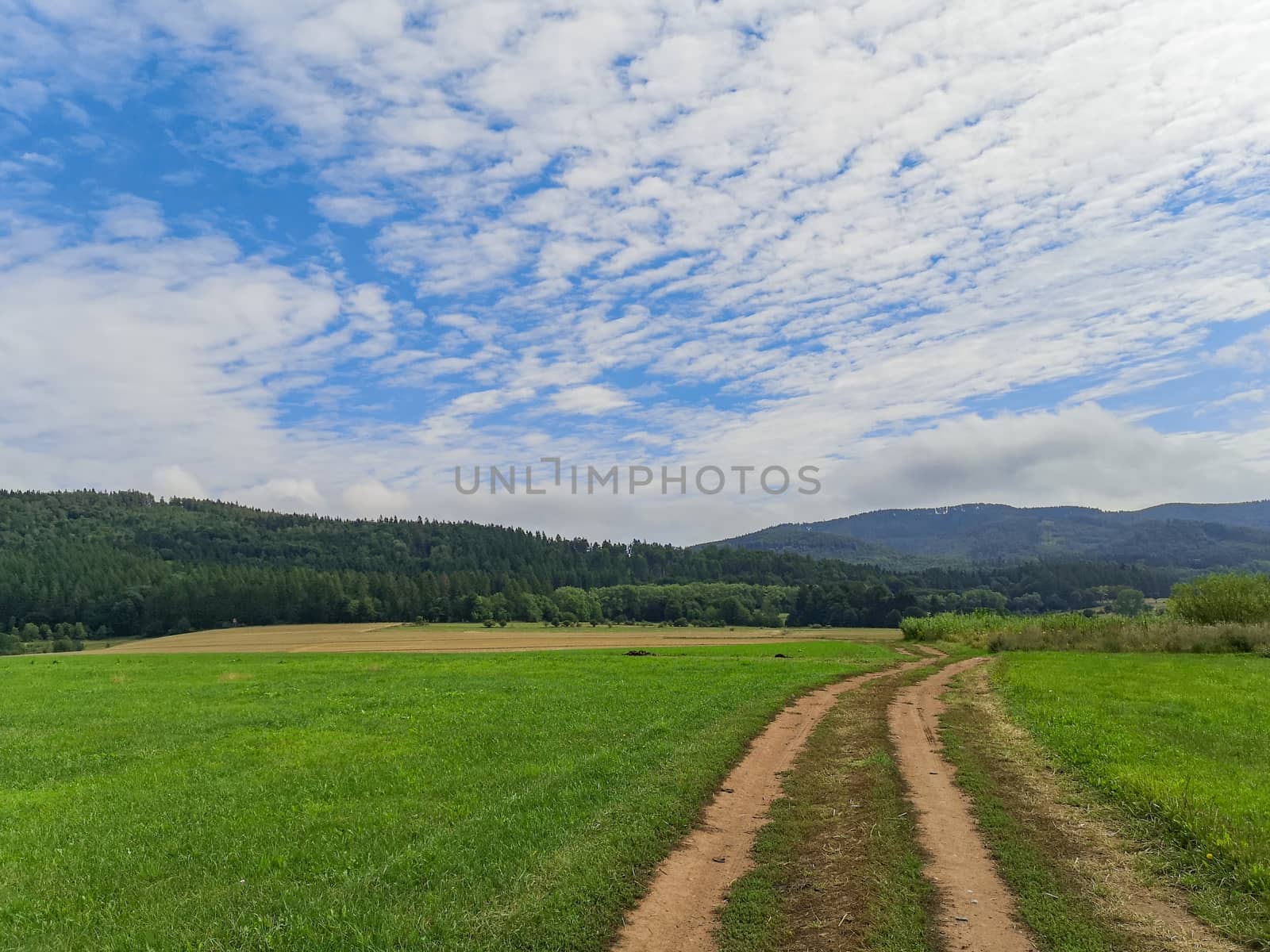 Long double pathway between green and yellow fields near mountains