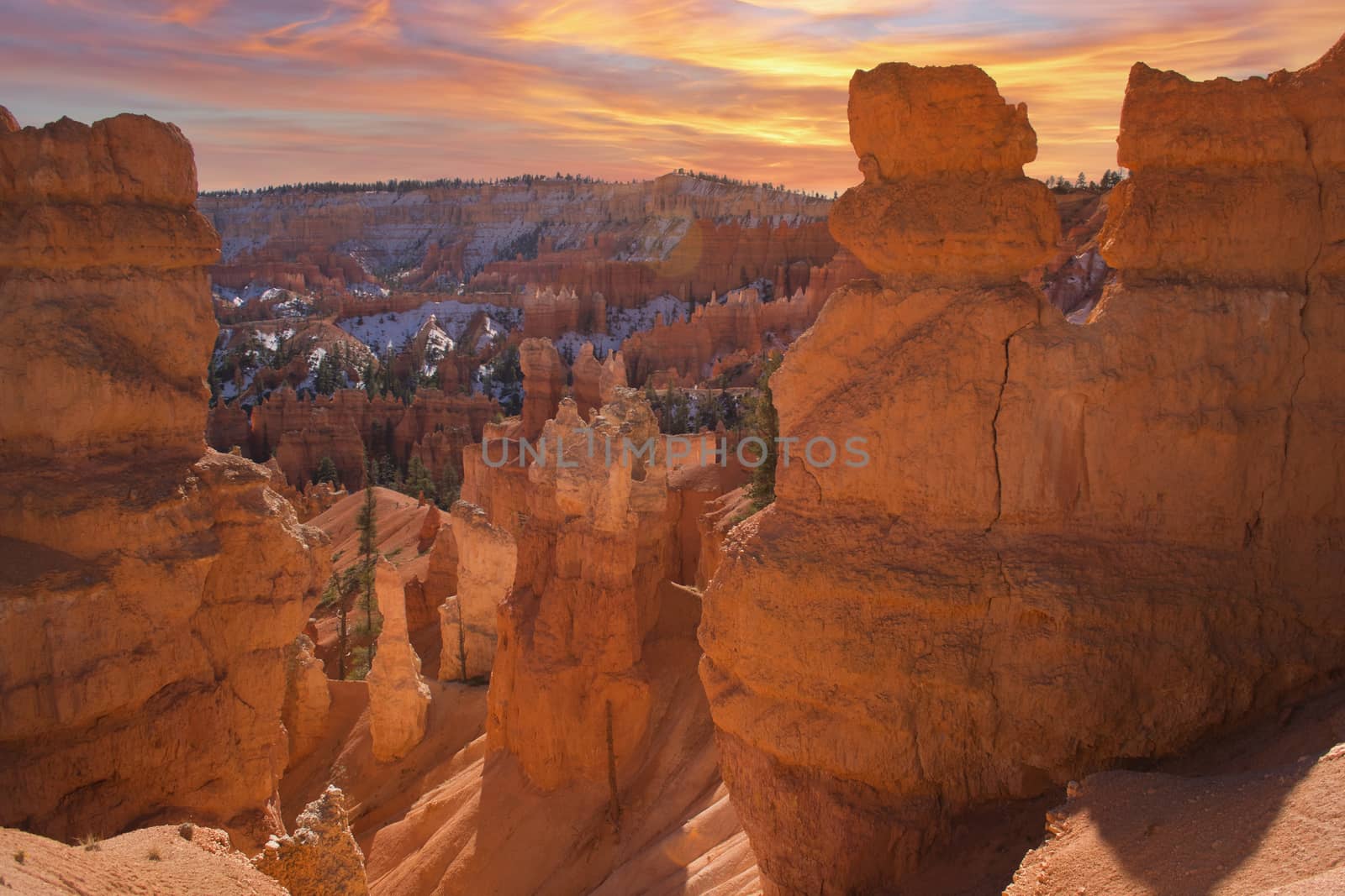 Bryce canyon national park in Utah during sunset. Travel and tourism.