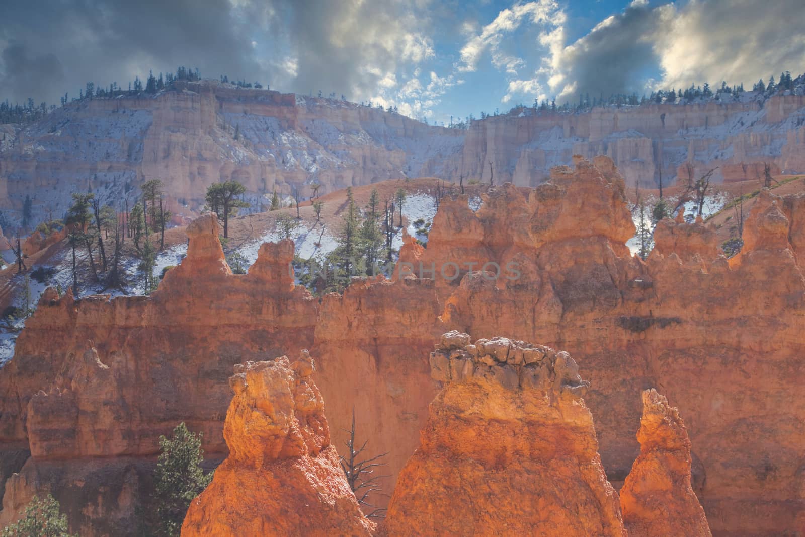 Bryce canyon national park in Utah. Travel and tourism.