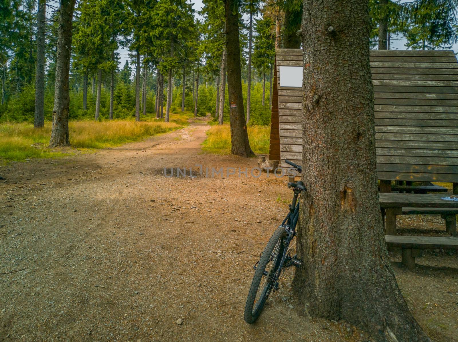 Bike near tree and Shed at crossroads Kozie Siodlo in Owl mountains by Wierzchu