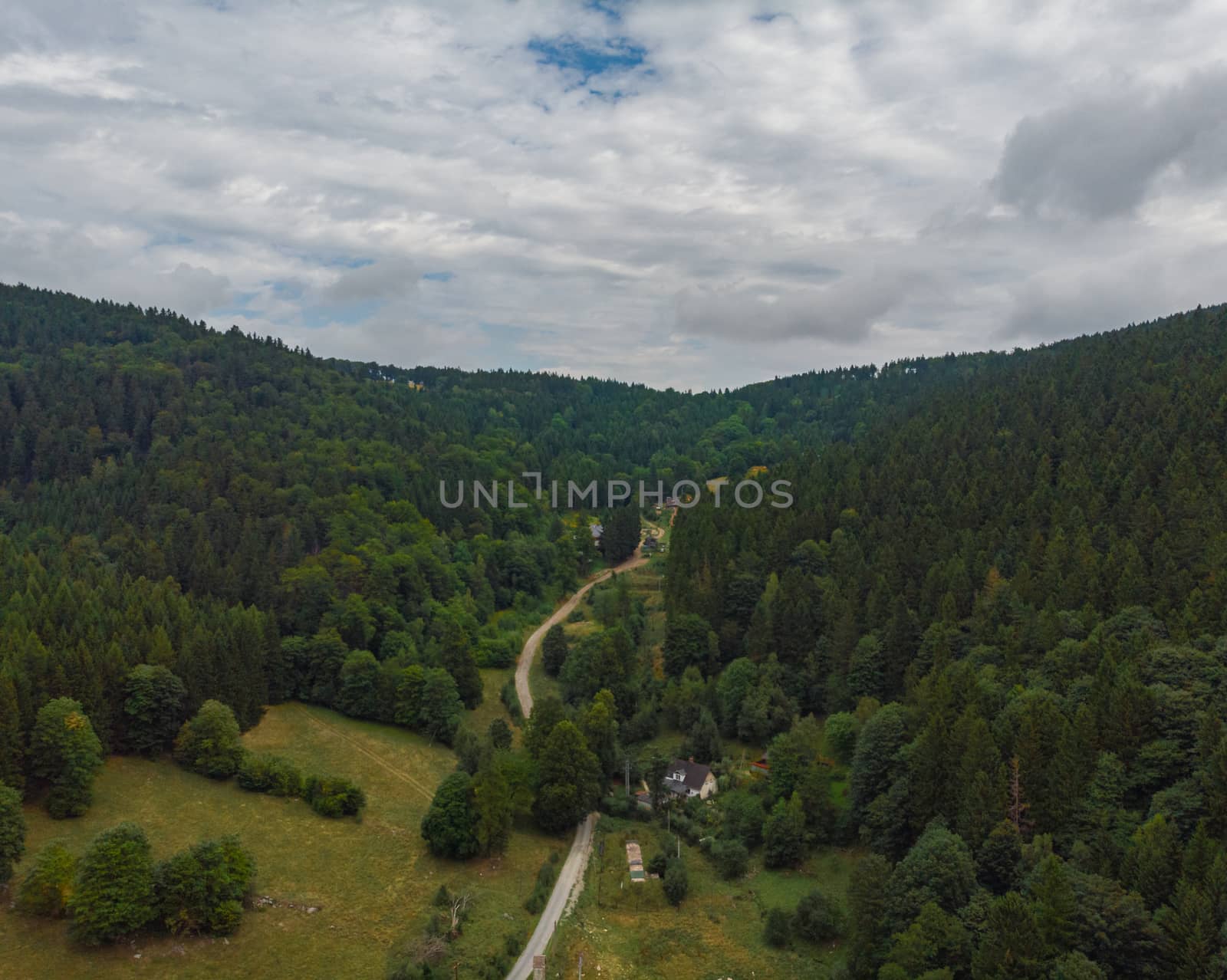 Long pathway between bushes and trees to mountain shelters in Owl mountains by Wierzchu