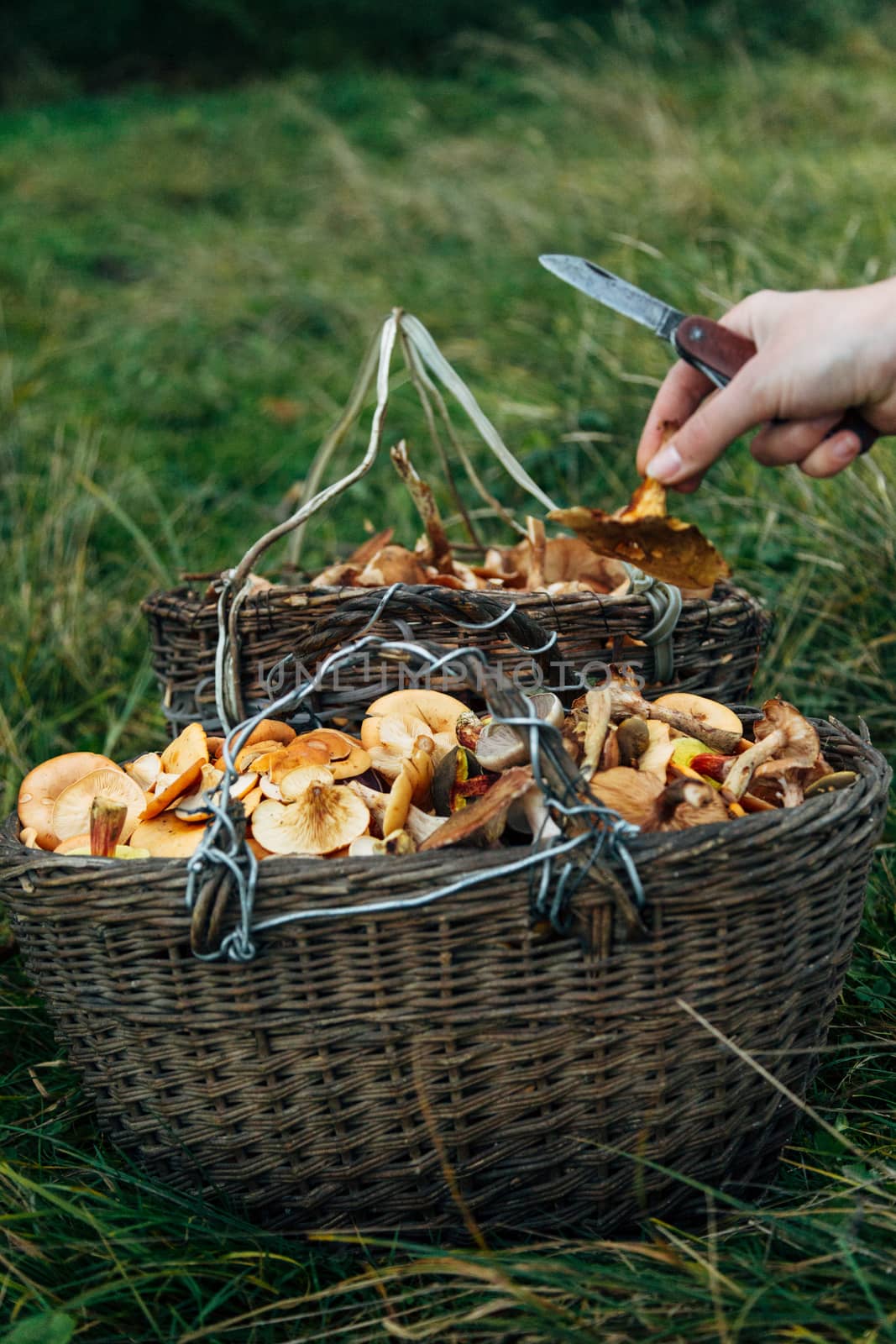 Twe basket with mashrooms. Harvest in the large Forest. Knife in hand by TrEKone