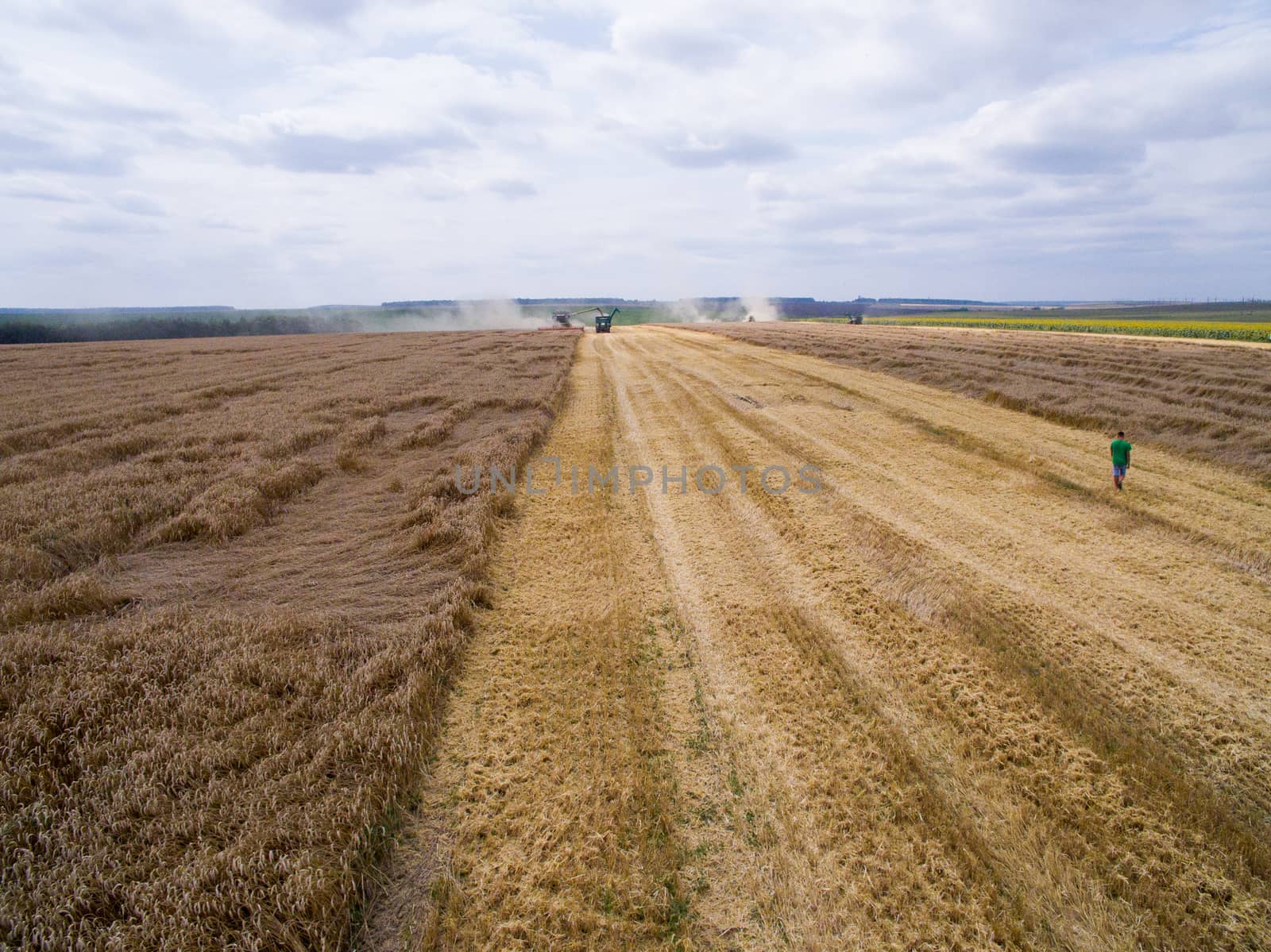 Harvesting in the field. Aerial view. Wheat field by TrEKone