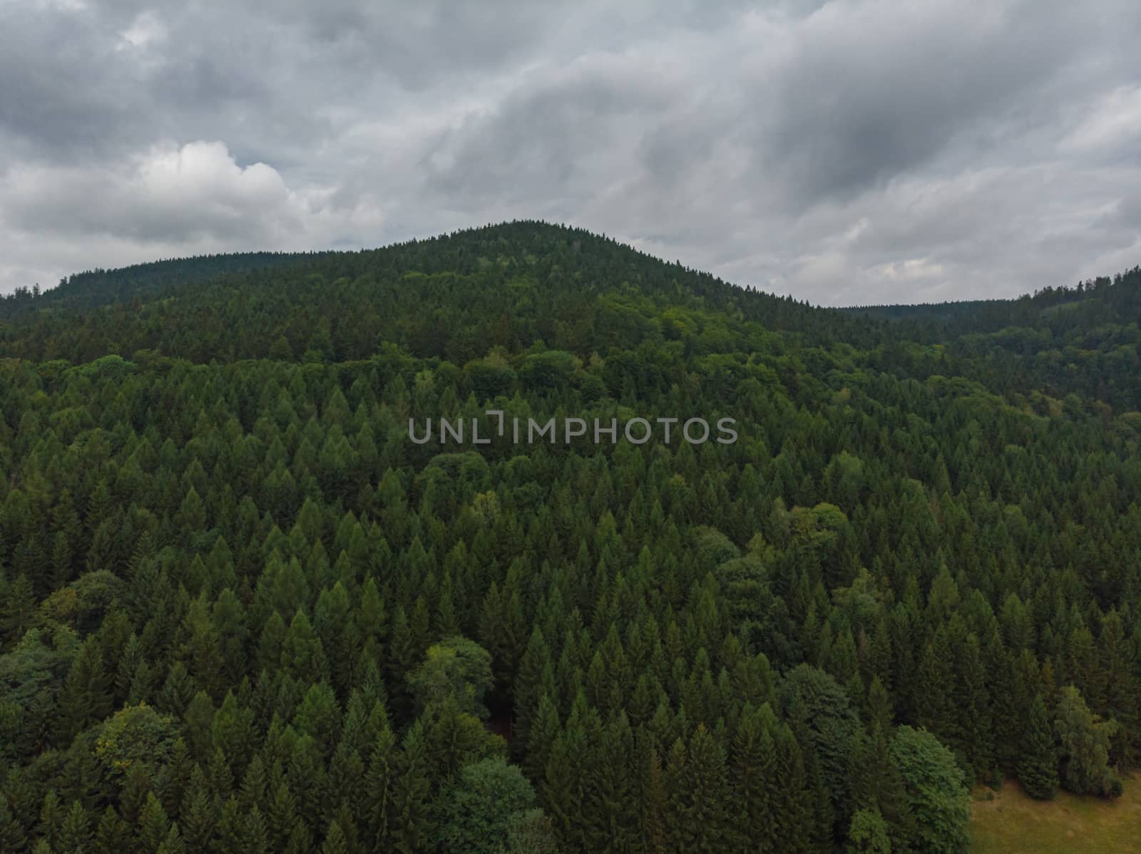 Owl mountains full of forest and high trees by Wierzchu