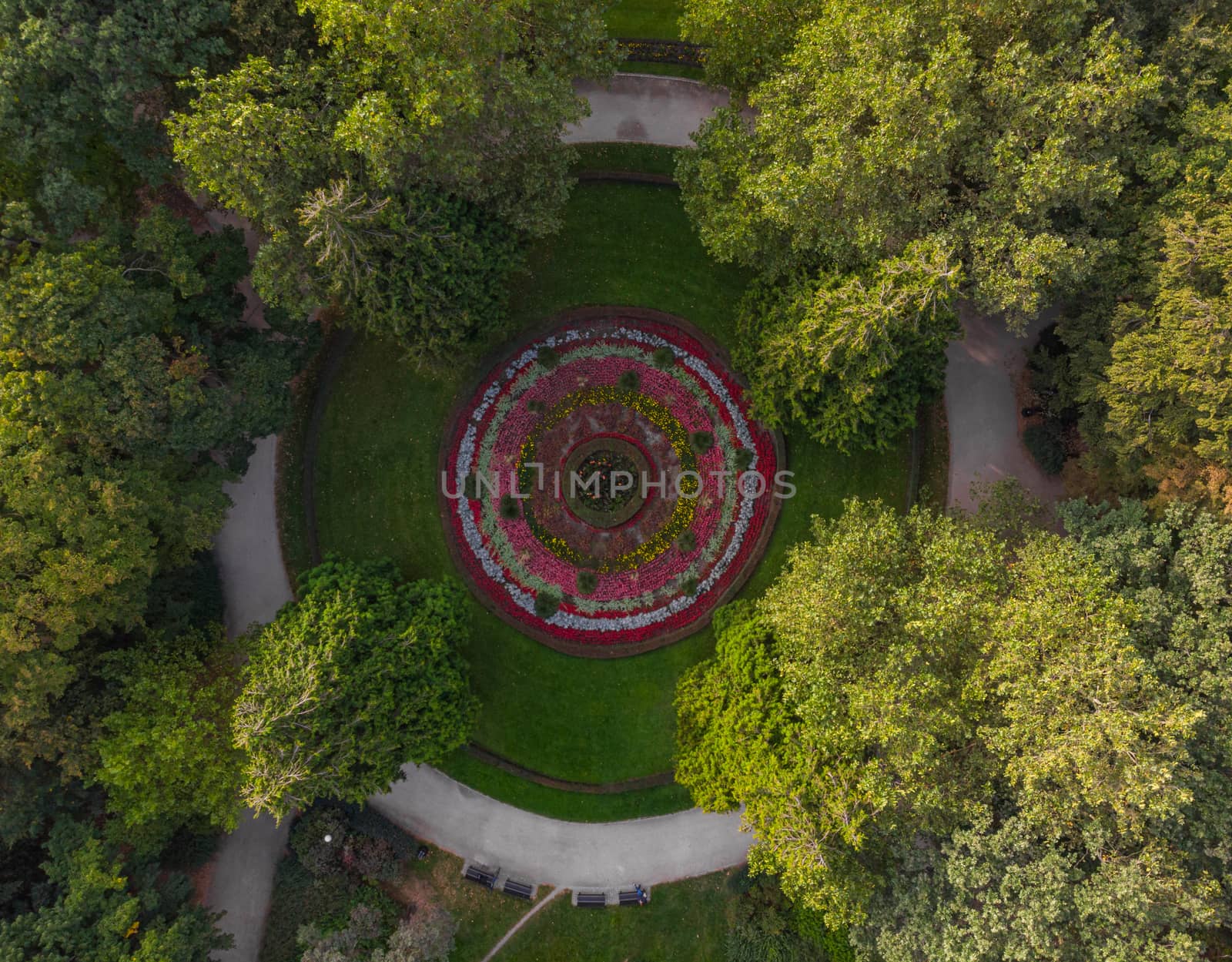 Top down aerial look to square in south park in Wroclaw by Wierzchu