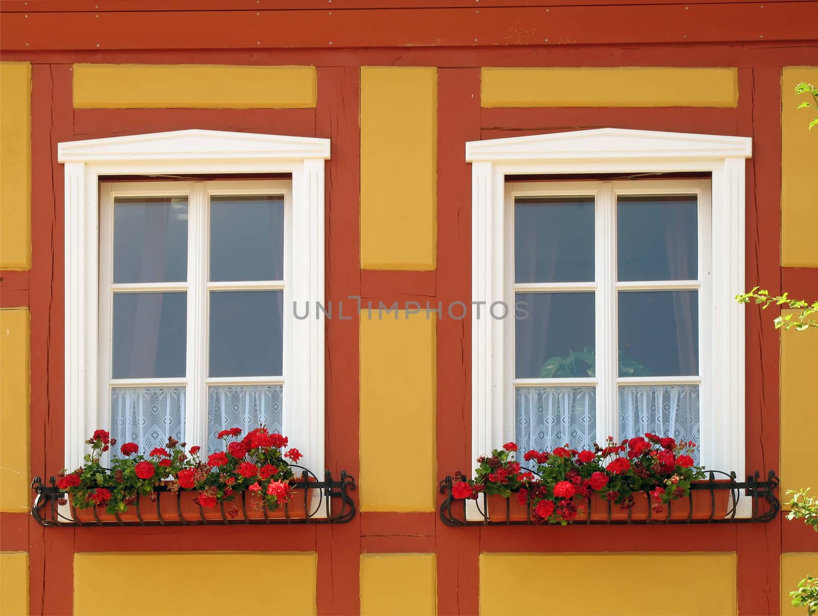 Windows with geraniums in Mecklenburg-Western Pomerania, Germany.