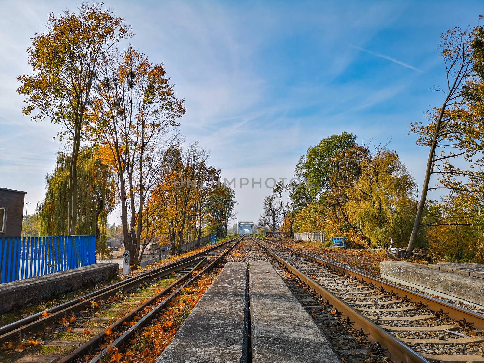 Train railways on hill at viaduct between trees and bushes