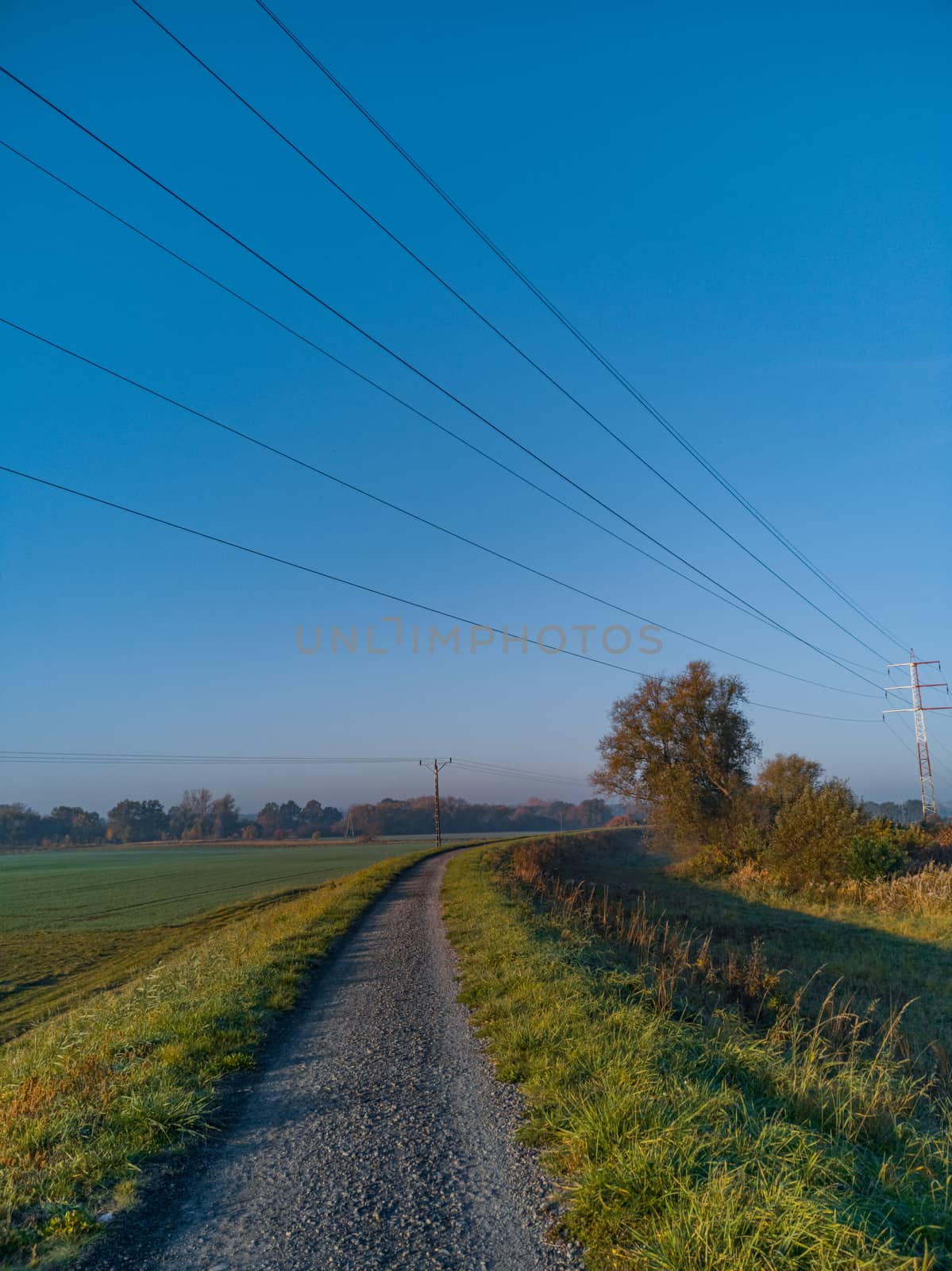 Long path full of small stones between green and yellow fields and bushes