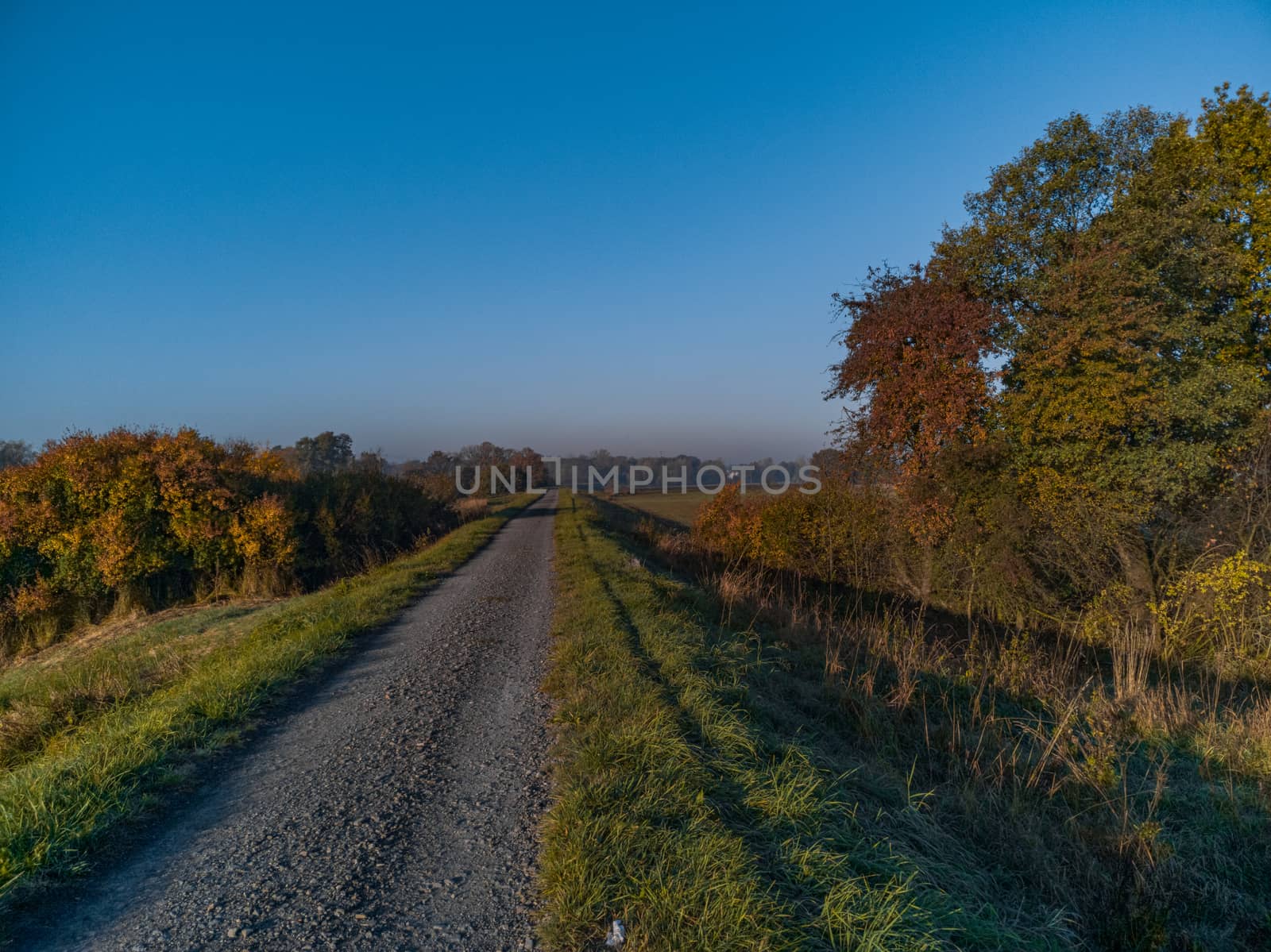 Long path full of small stones between green and yellow fields and bushes by Wierzchu