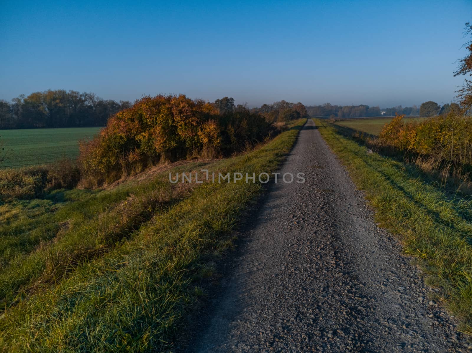 Long path full of small stones between green and yellow fields and bushes by Wierzchu