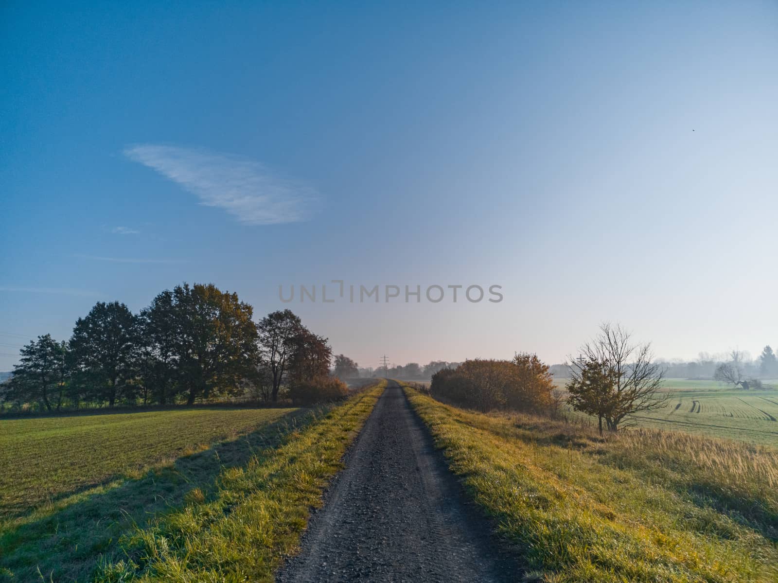 Long path full of small stones between green and yellow fields and bushes by Wierzchu