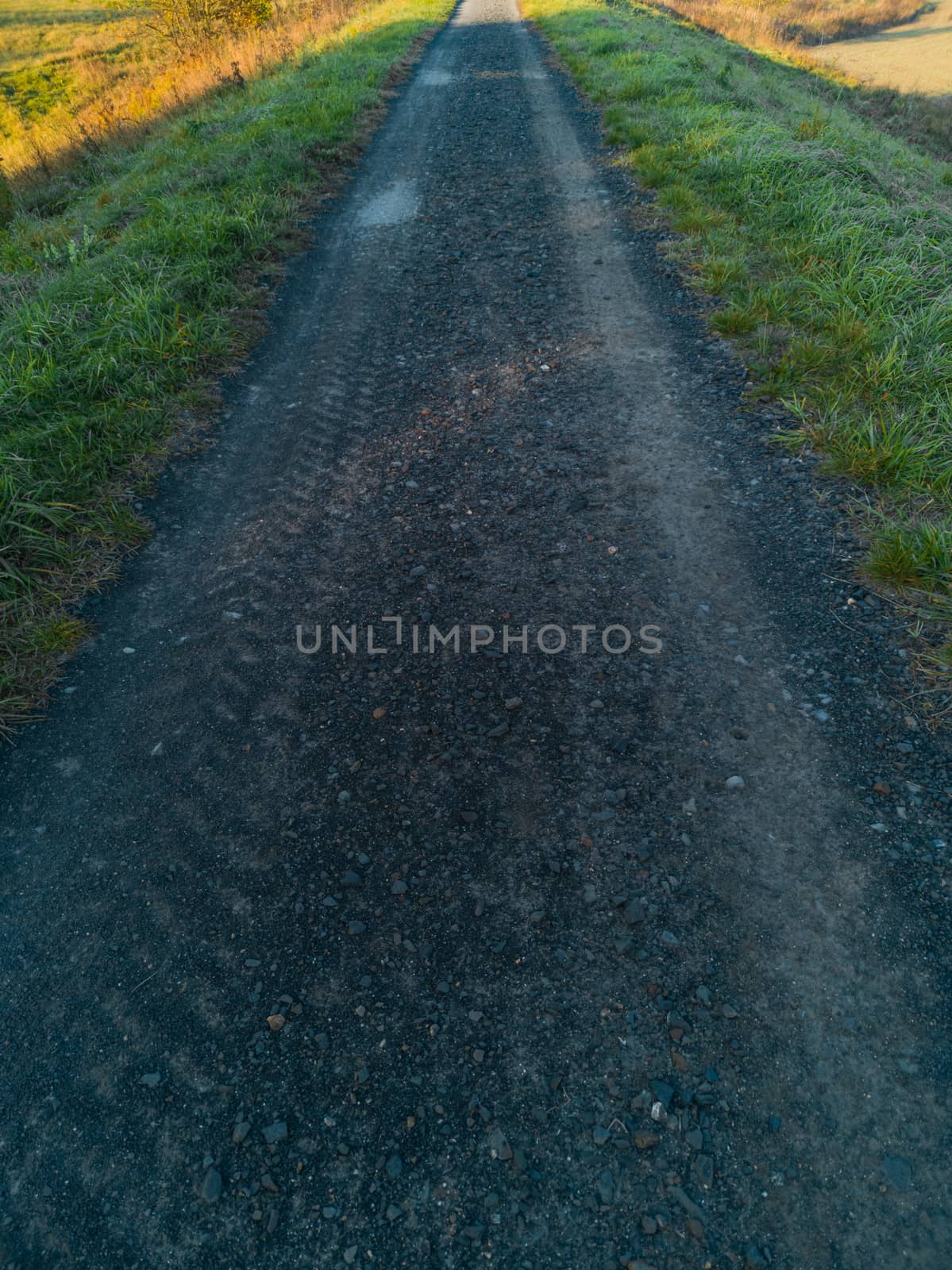 Long path full of small stones between green and yellow fields and bushes by Wierzchu