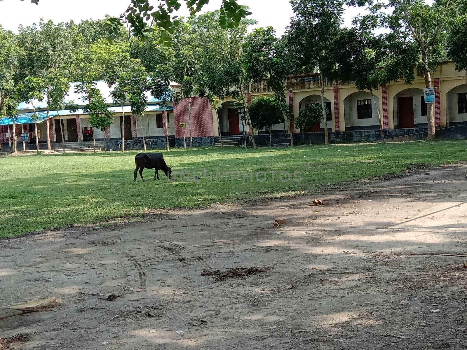 school and field view with nature