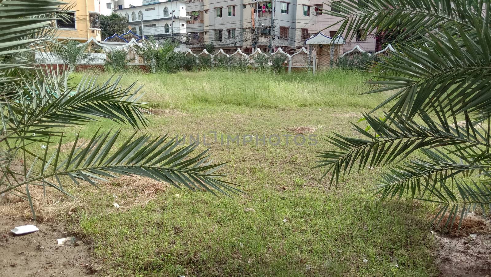 appartment view with nature on city