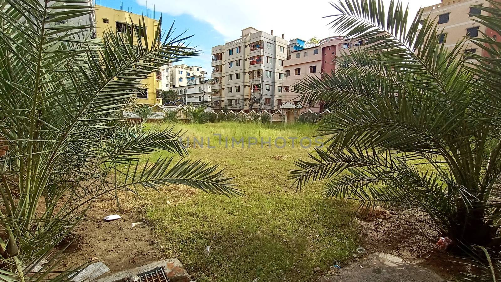 appartment view with nature on city