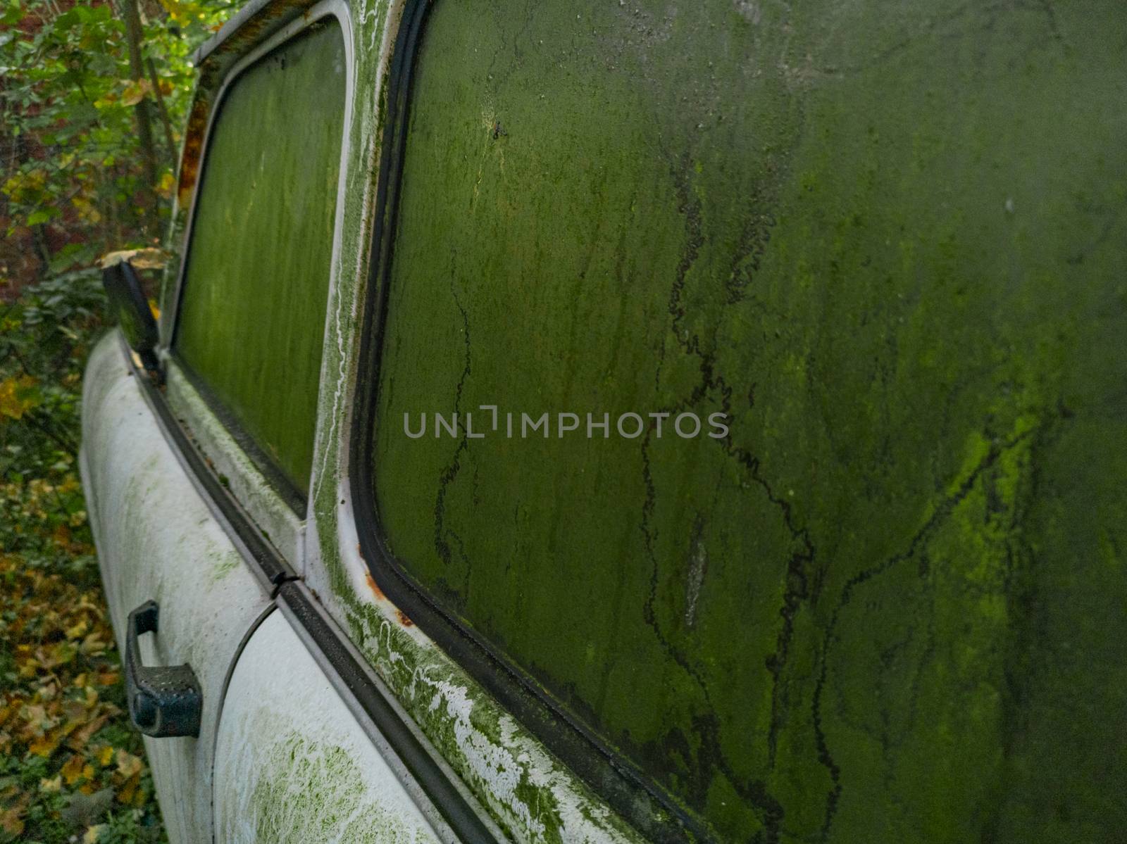 Green old windows on old white car standing between trees and bushes