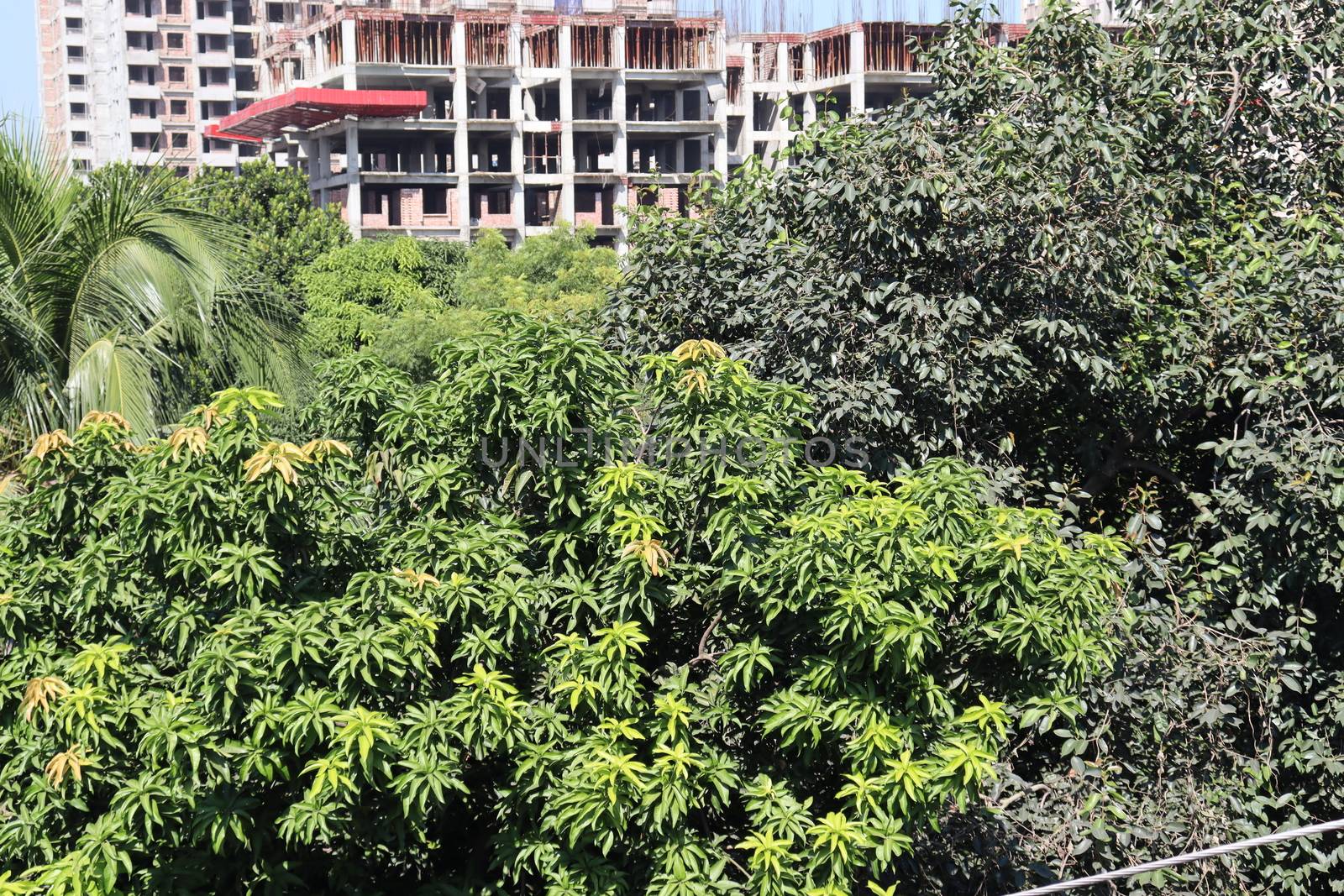 appartment view with nature on city